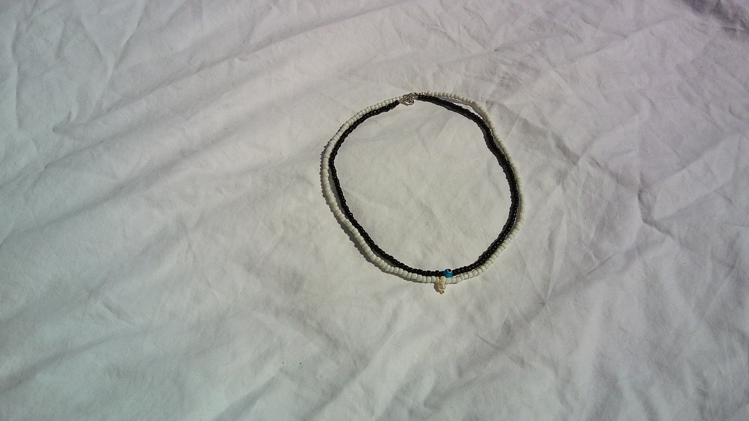DSCF0166.JPG