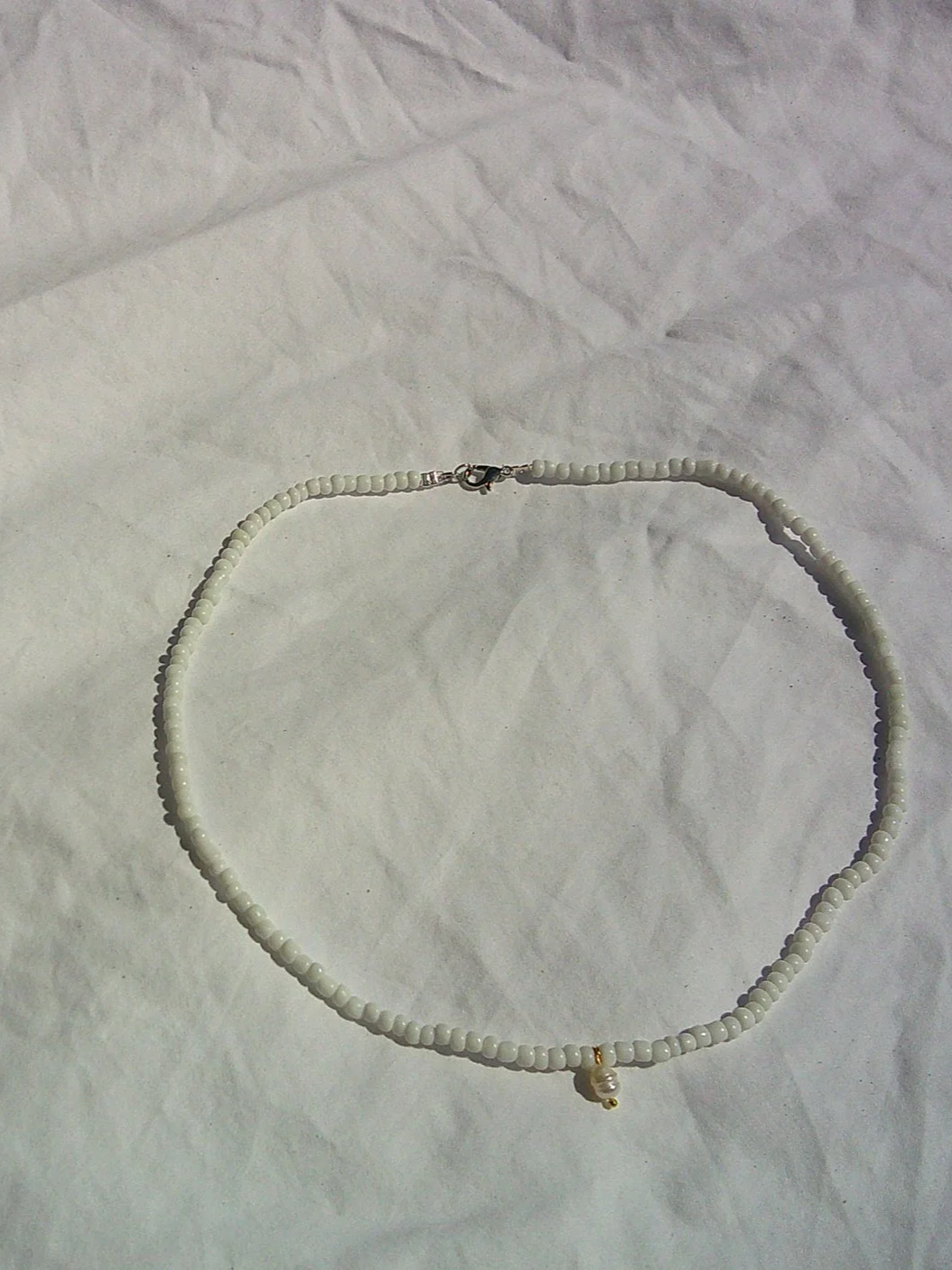 DSCF0178.png