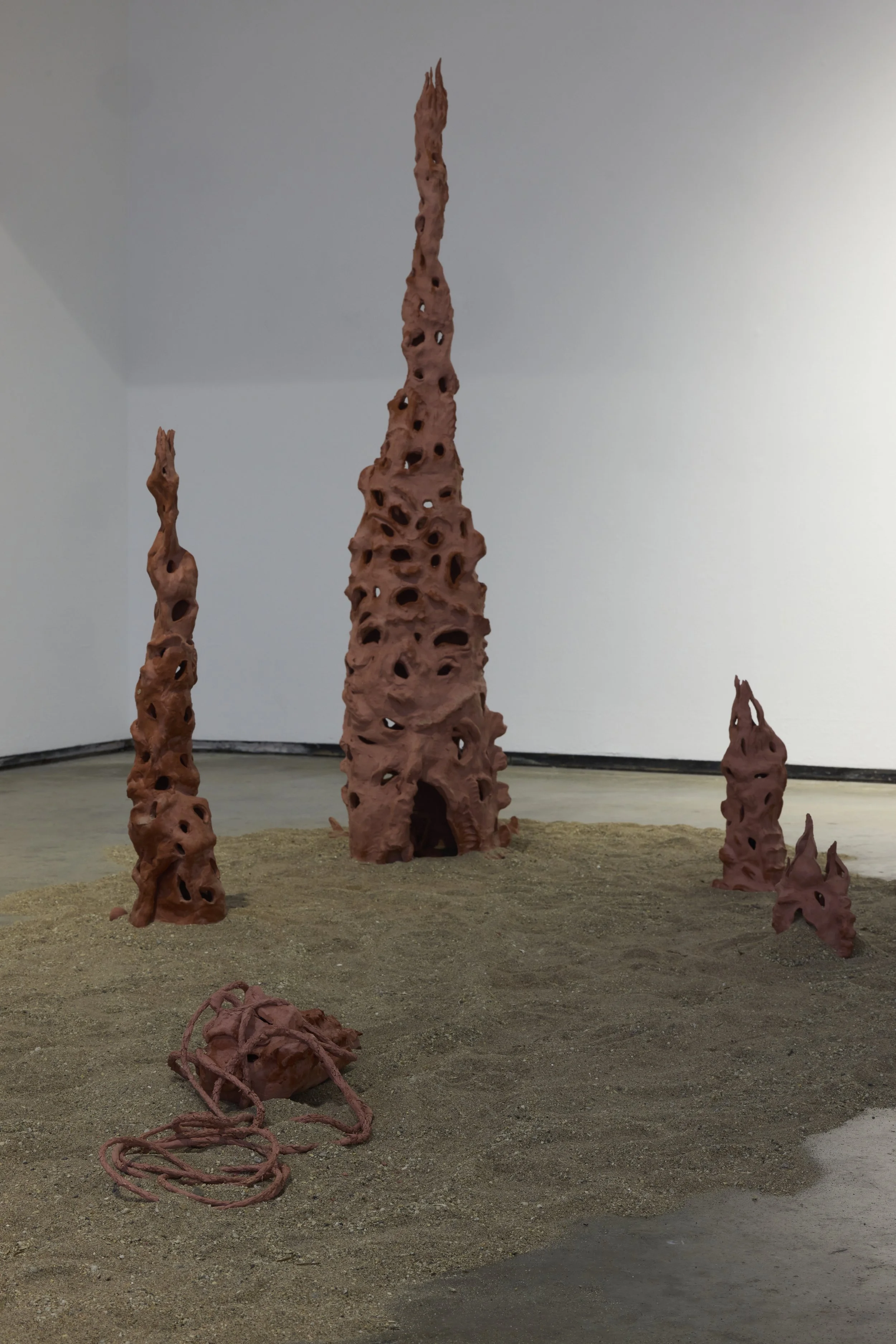 LAST IMAGE- - KIKI.JPEG