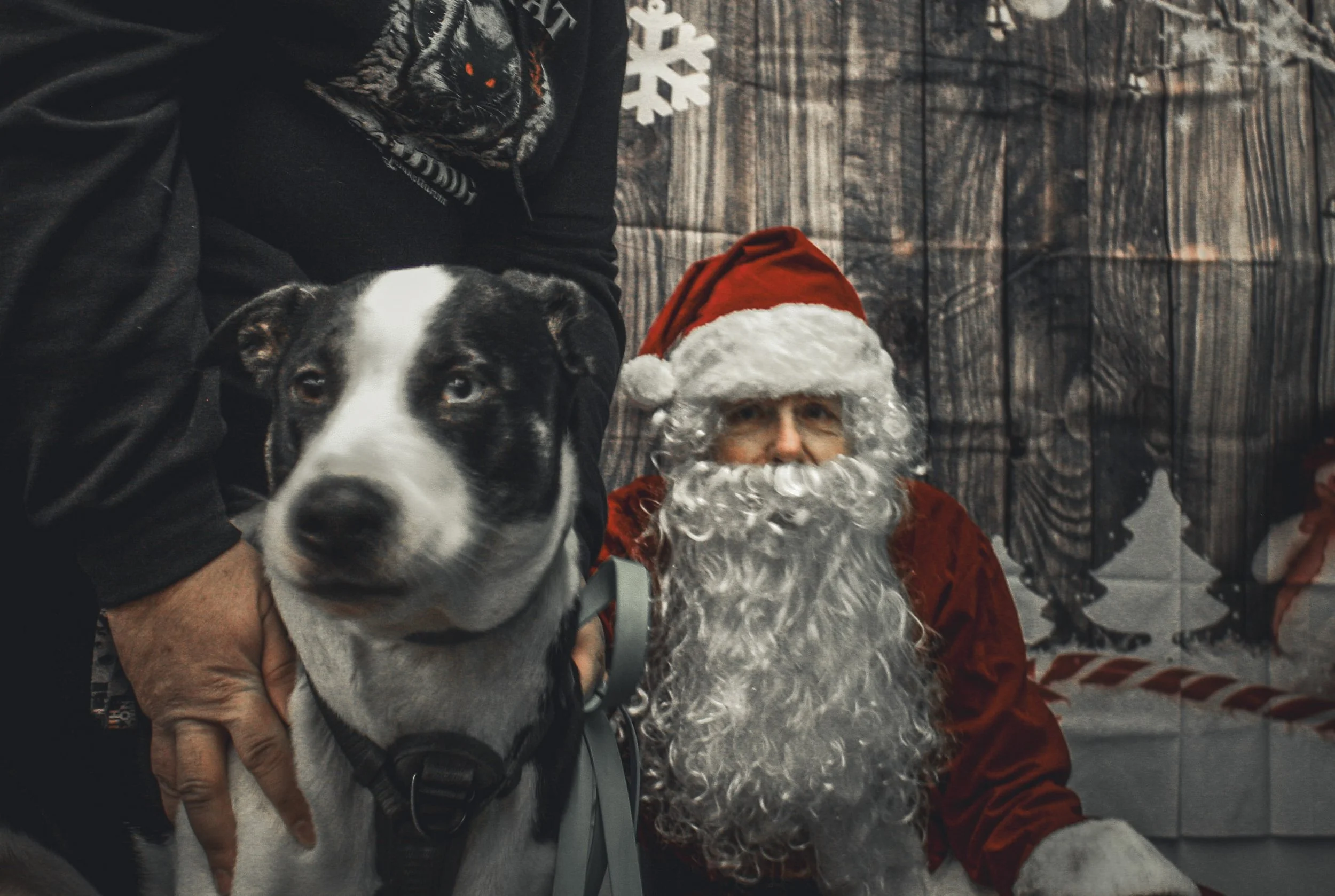 147-IMG_7428 copy.jpg