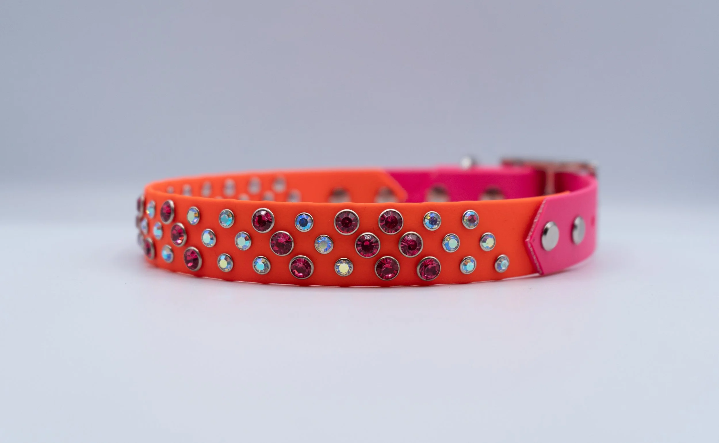 DSC00252.jpg