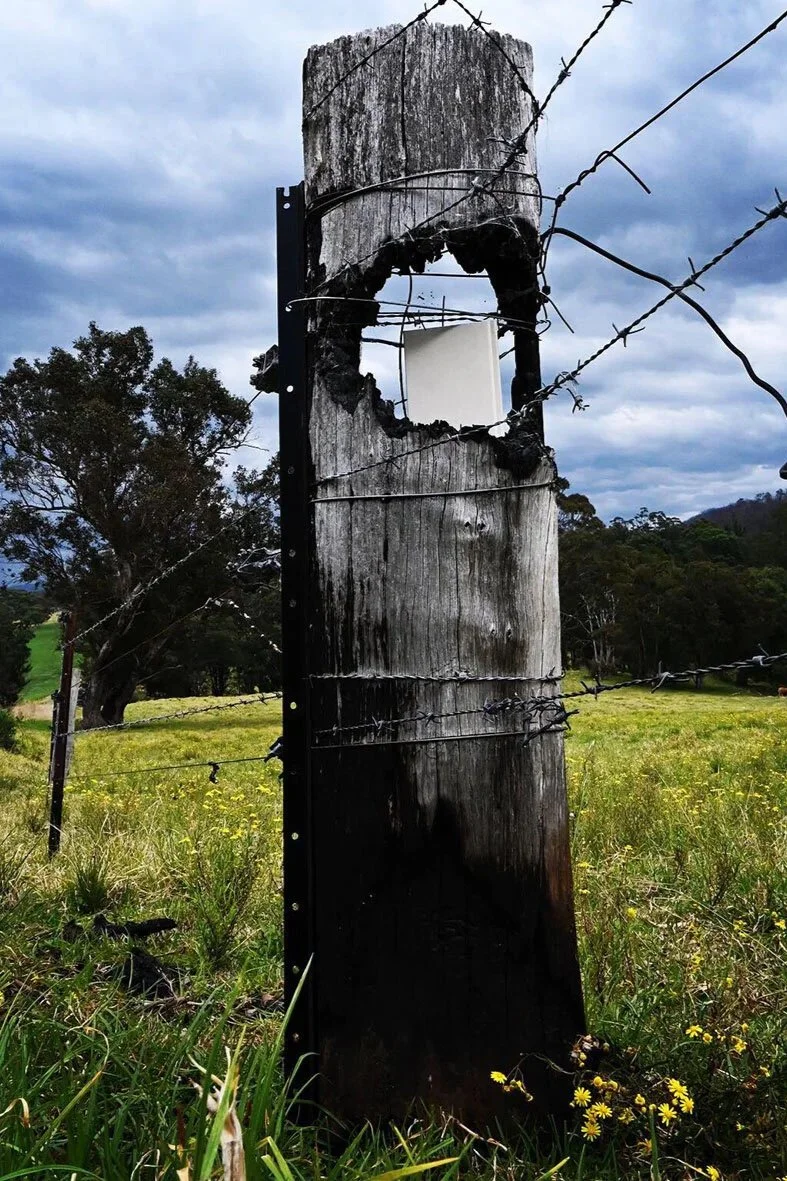 fencepost.jpg