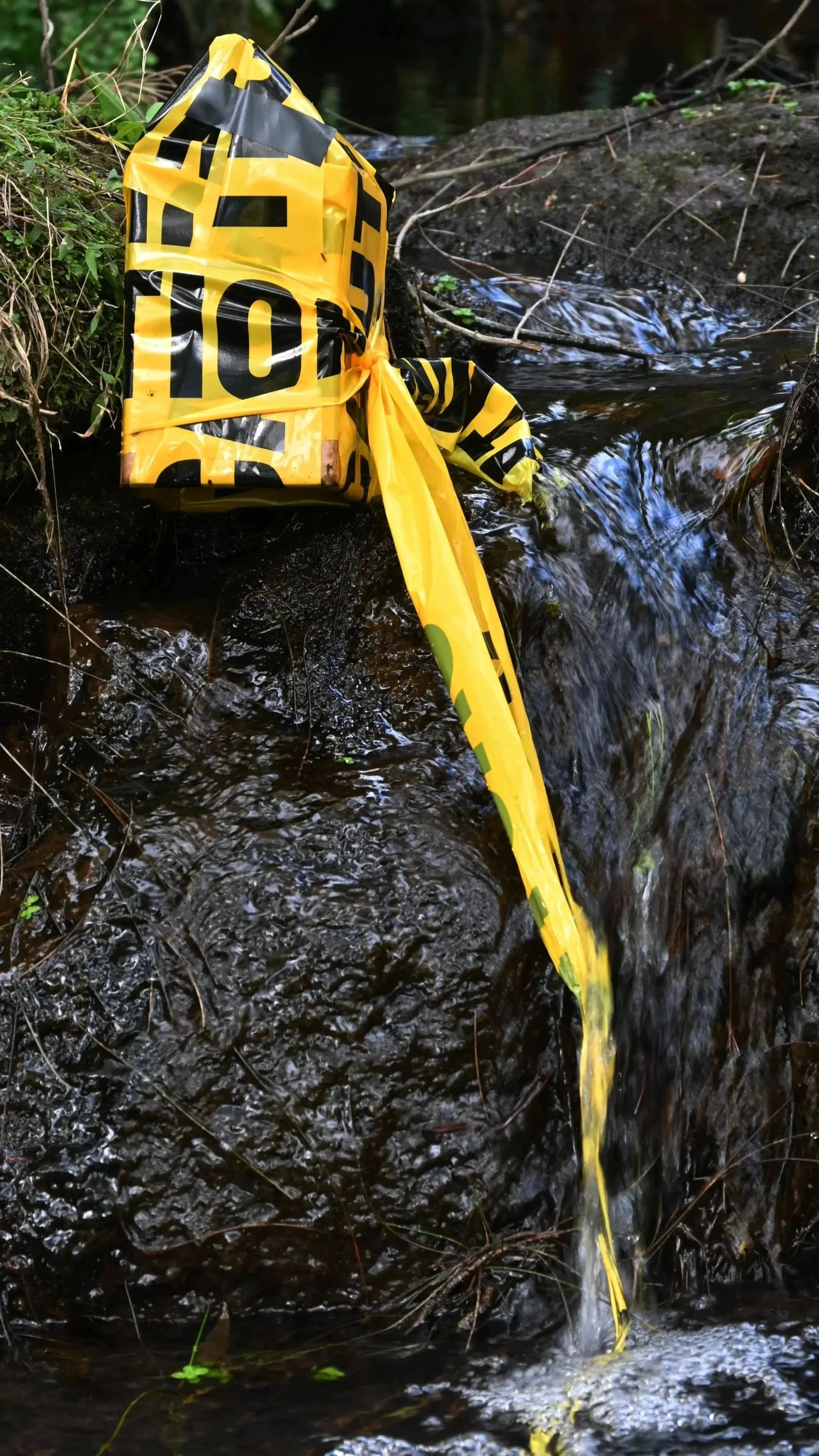 DSC_3592caution.jpg