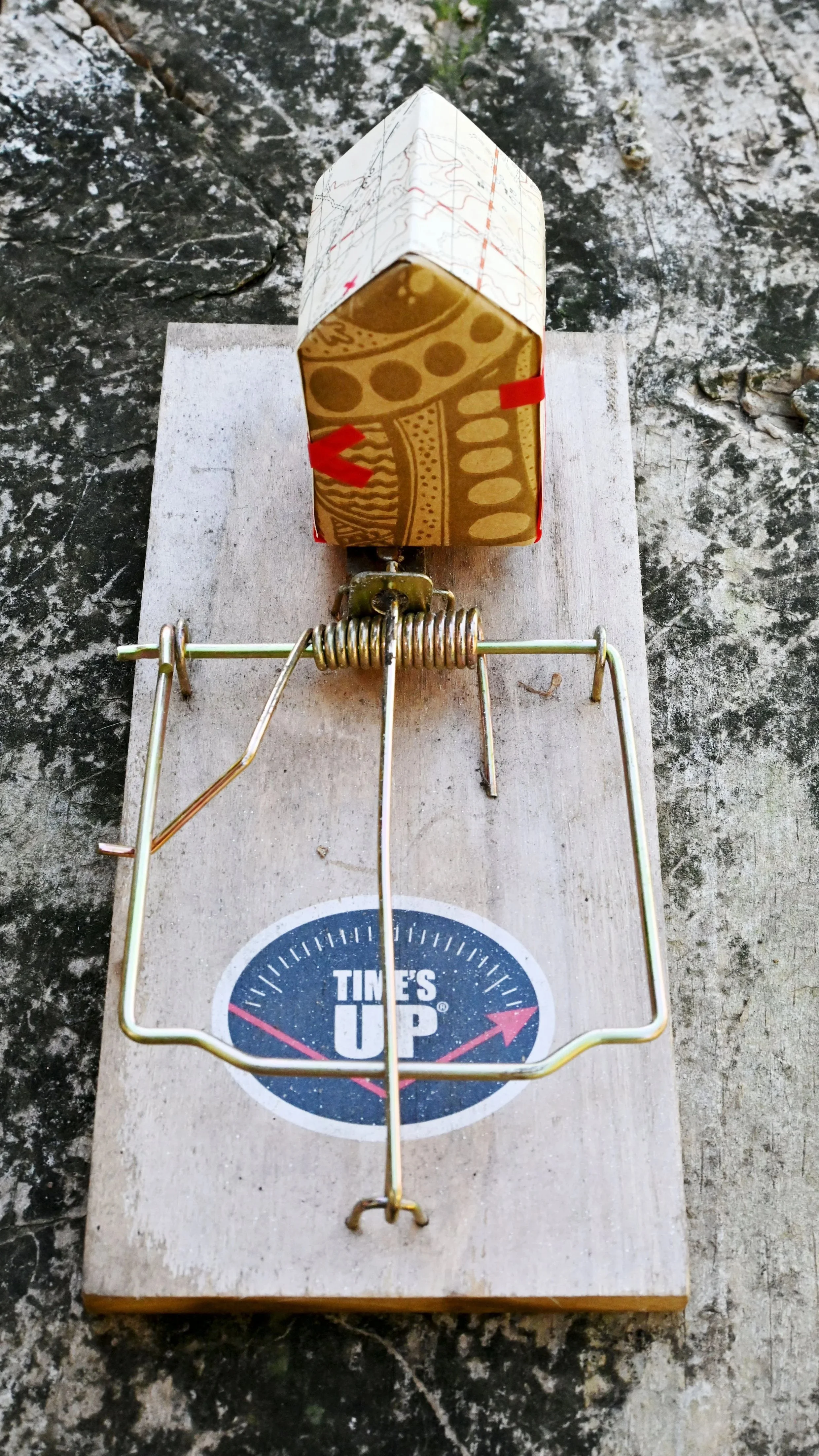 DSC_3821rattrap.jpg
