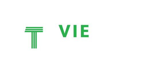 VieTech Training &amp; Consulting