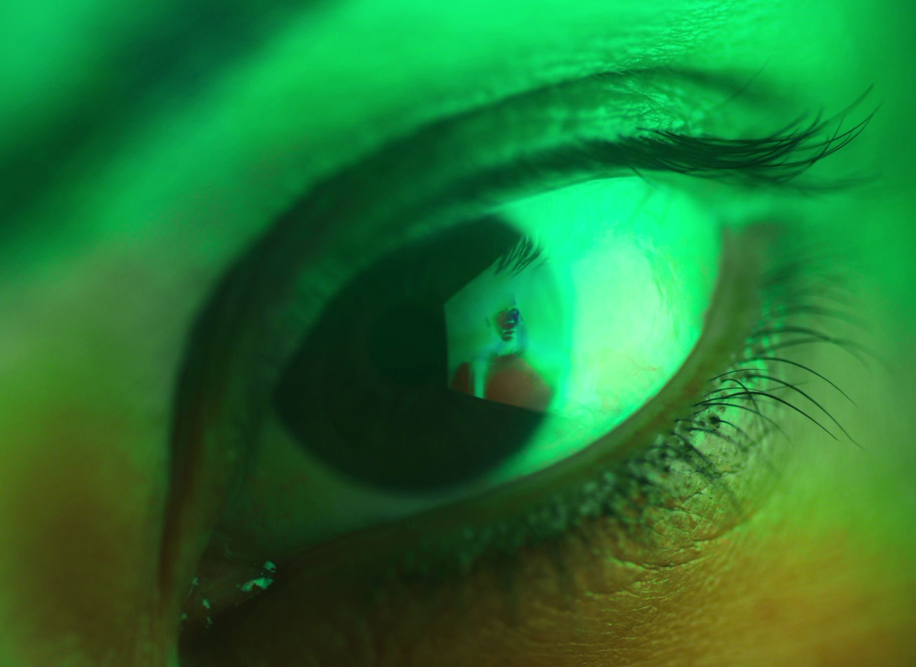 vlcsnap-2026-07-31-14h01m36s248.png