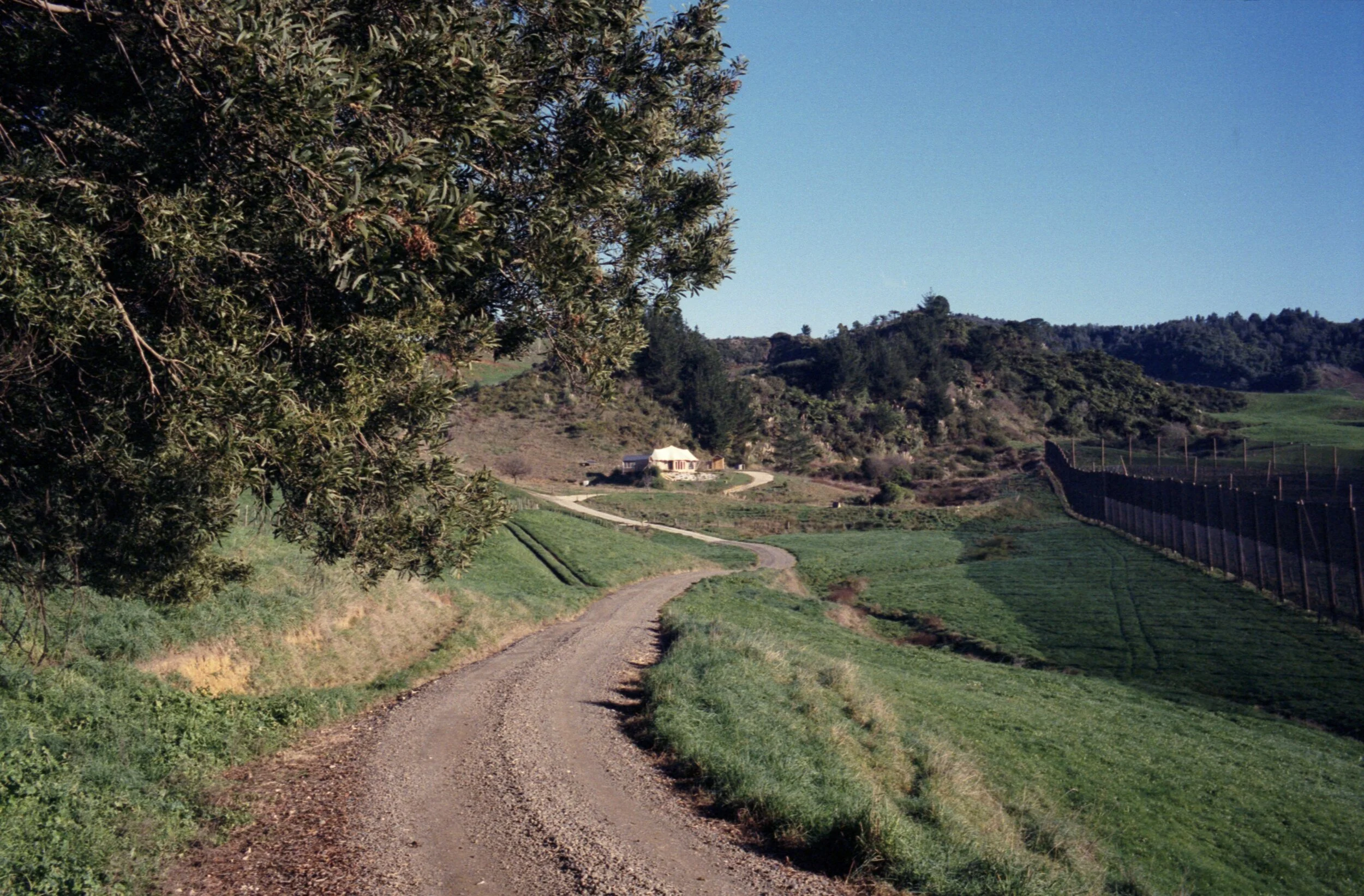 Image 1 28.jpg
