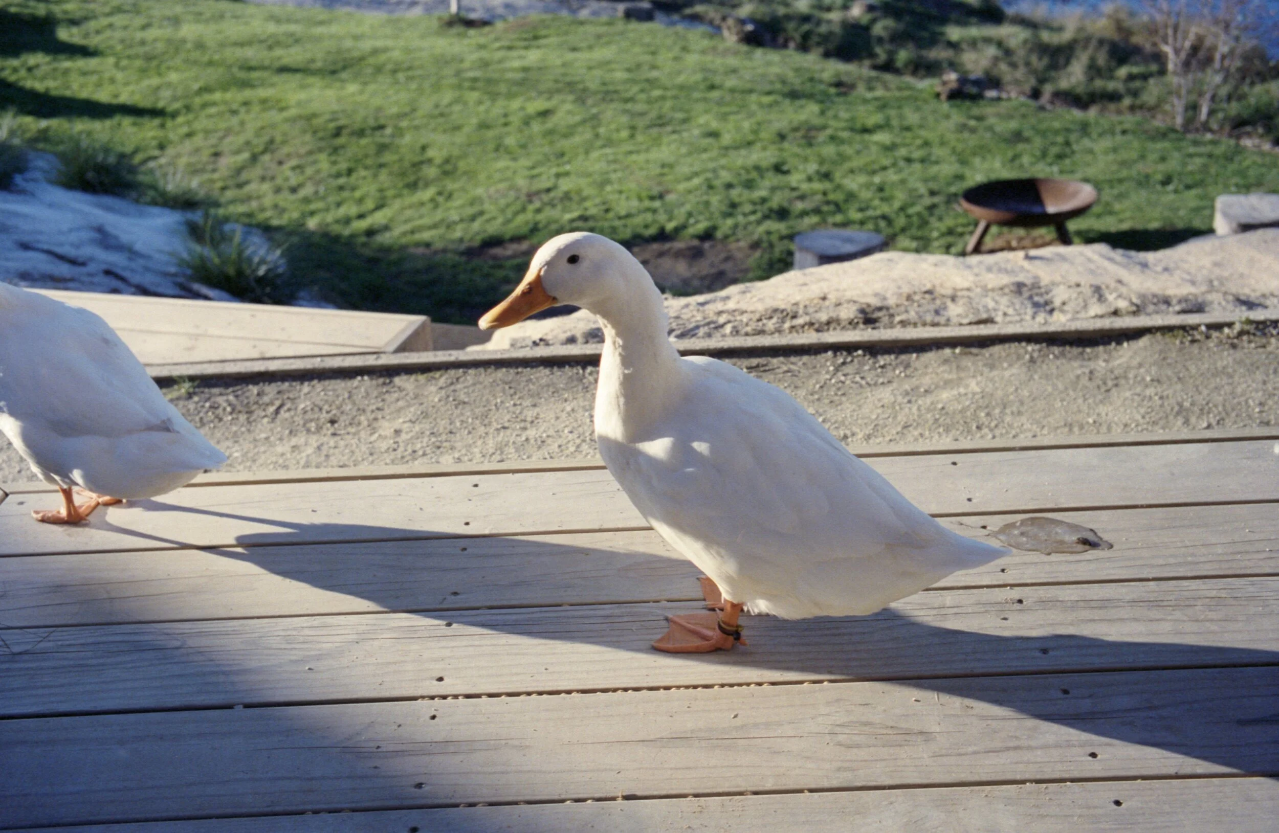 Image 1 4.jpg