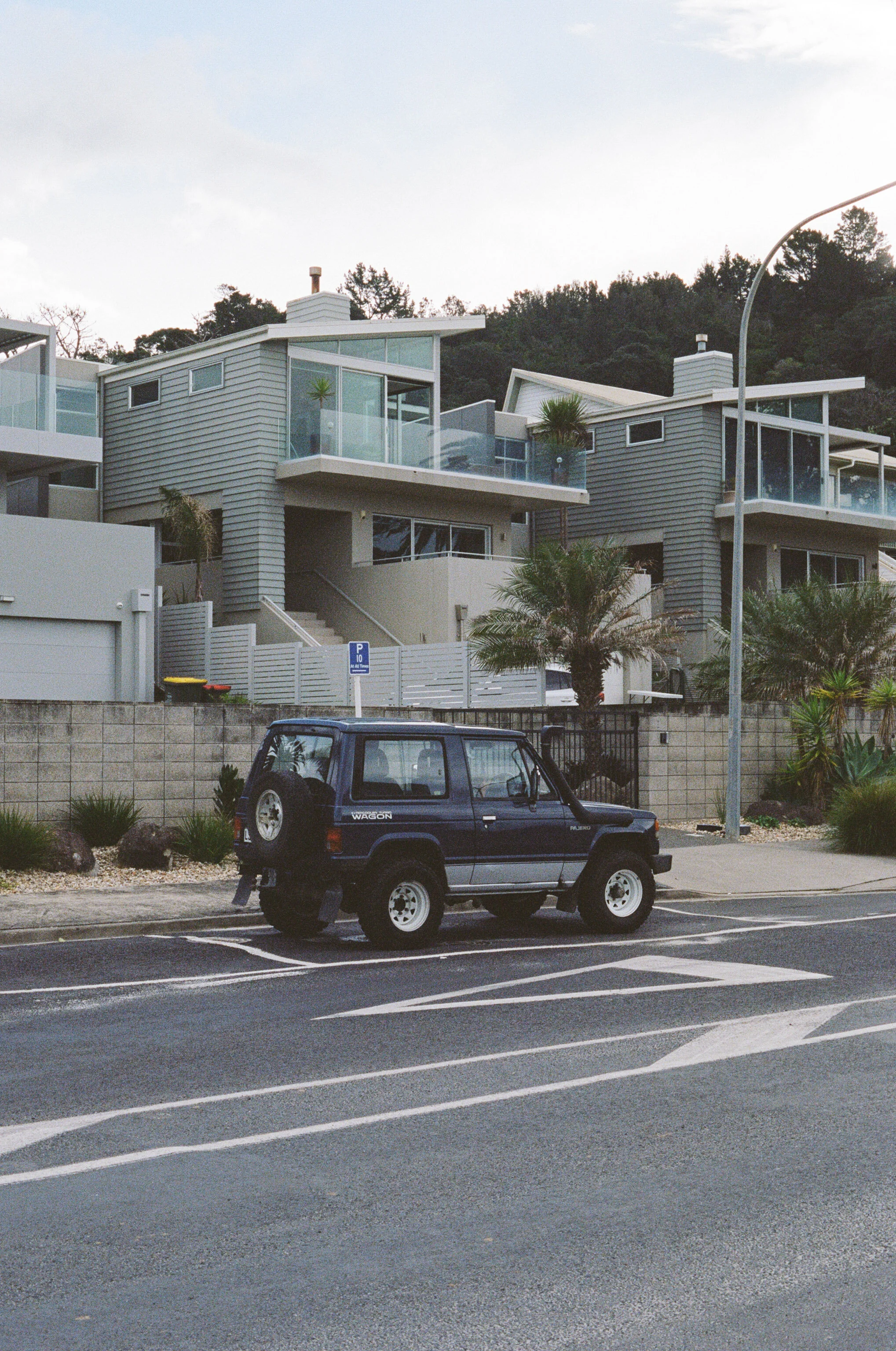 nest-35mm-7.jpg