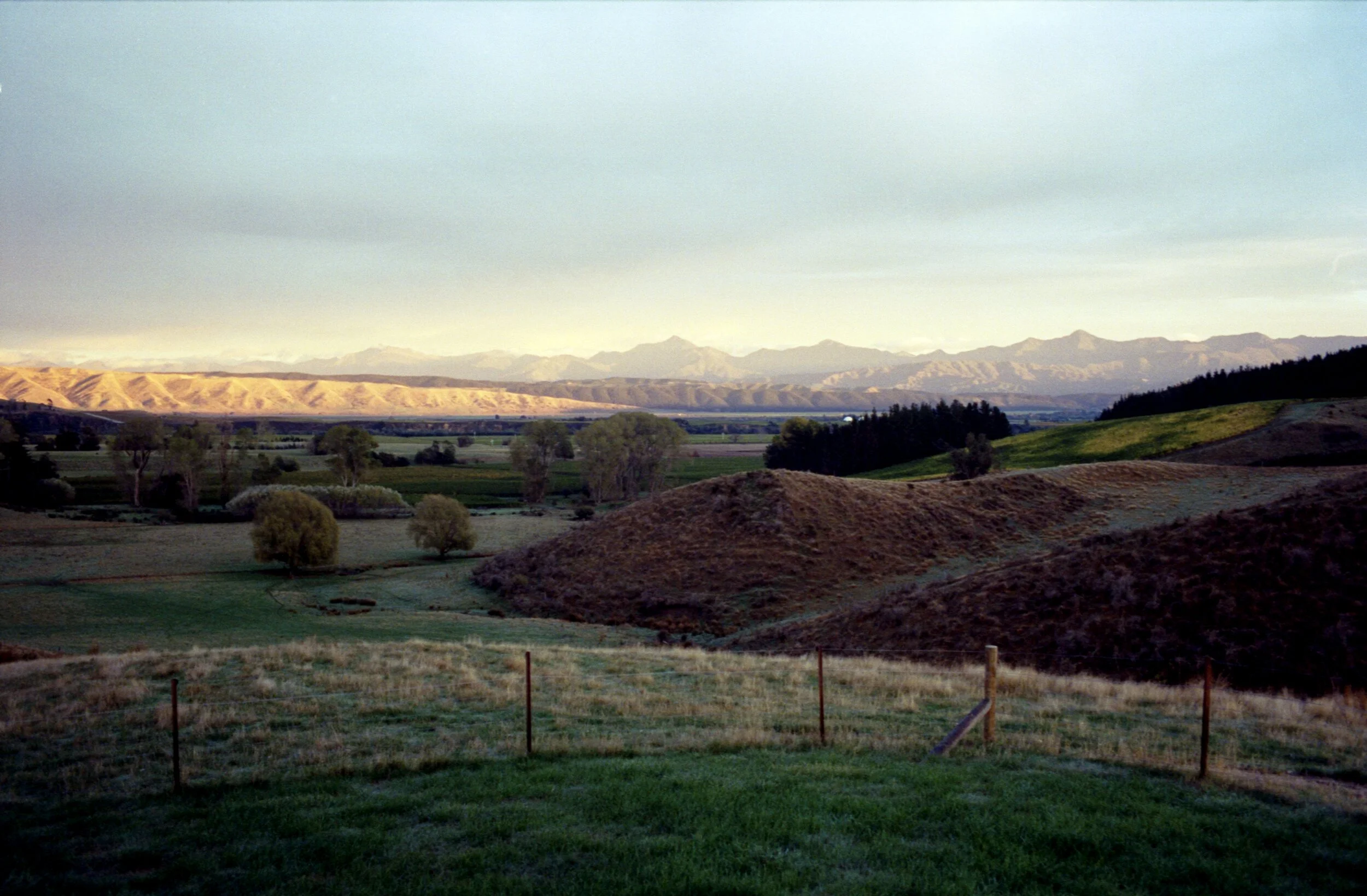 Image 1 11.jpg