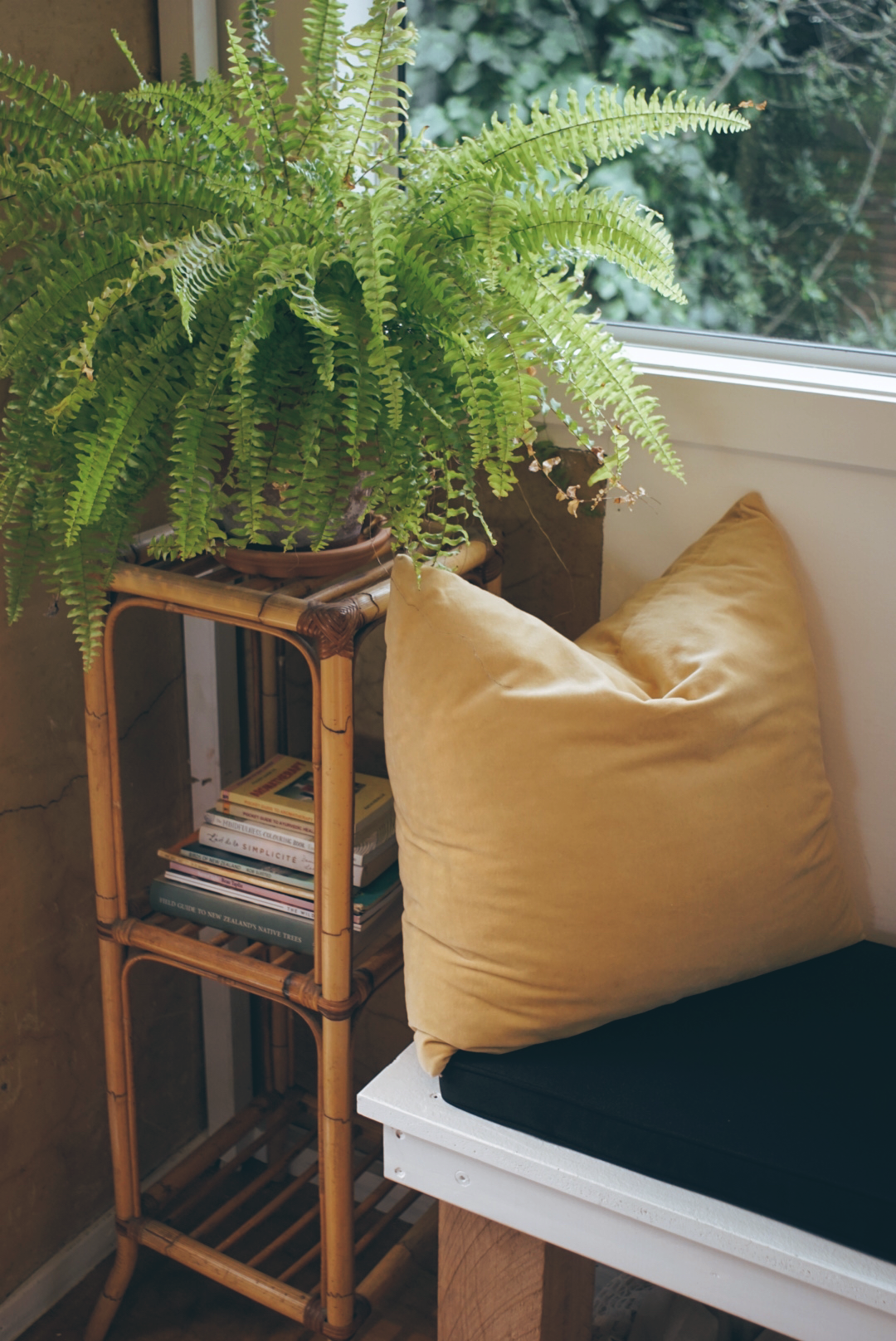 A large green fern plant on a wooden stand next to a window, with a beige pillow and a wooden shelf holding books nearby.