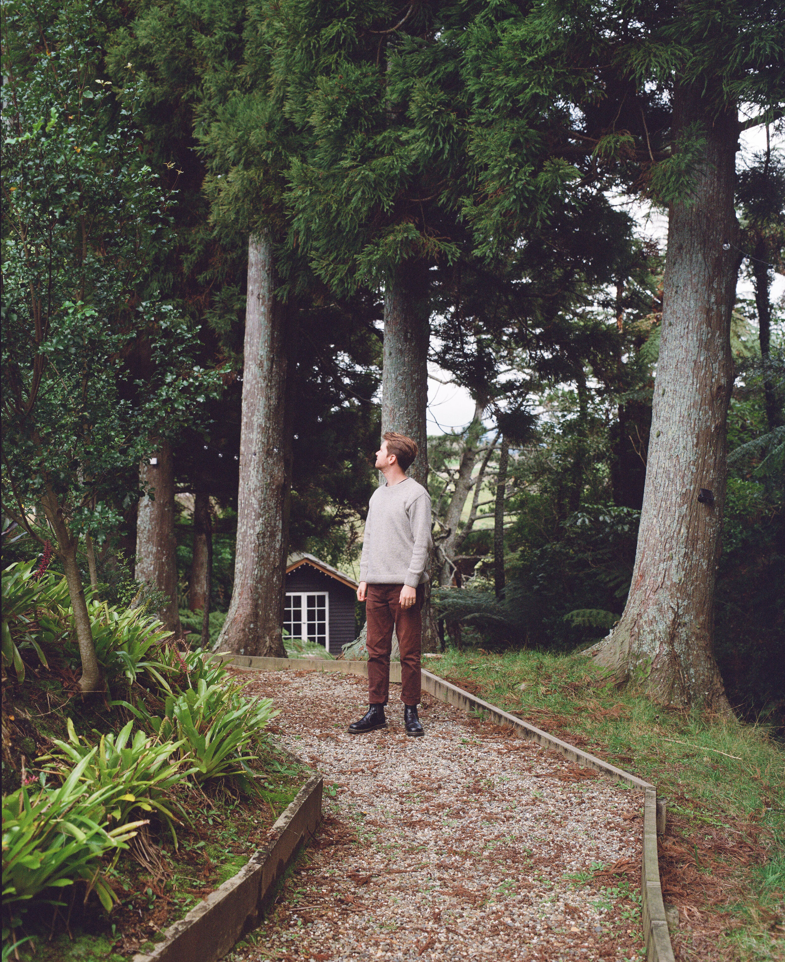 A young man with short brown hair, wearing a gray sweater, brown pants, and black boots, stands on a gravel path in a lush, green forest. Large trees with textured bark and dense foliage surround him, and a small black house with white trim is visible in the background.