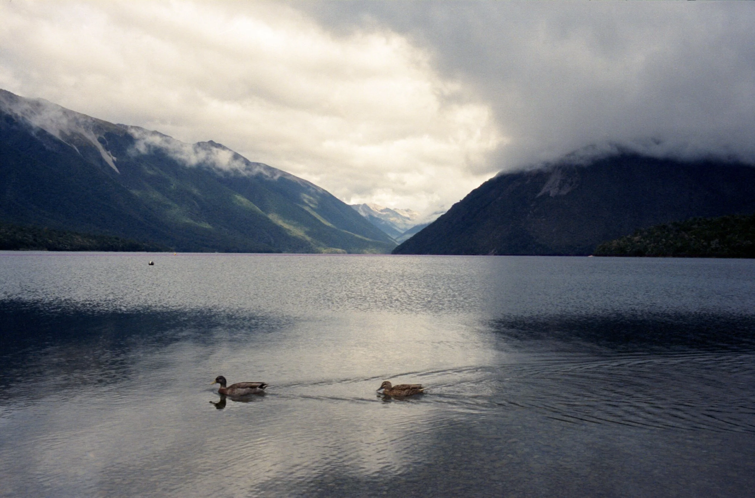 Image 1 4.jpg