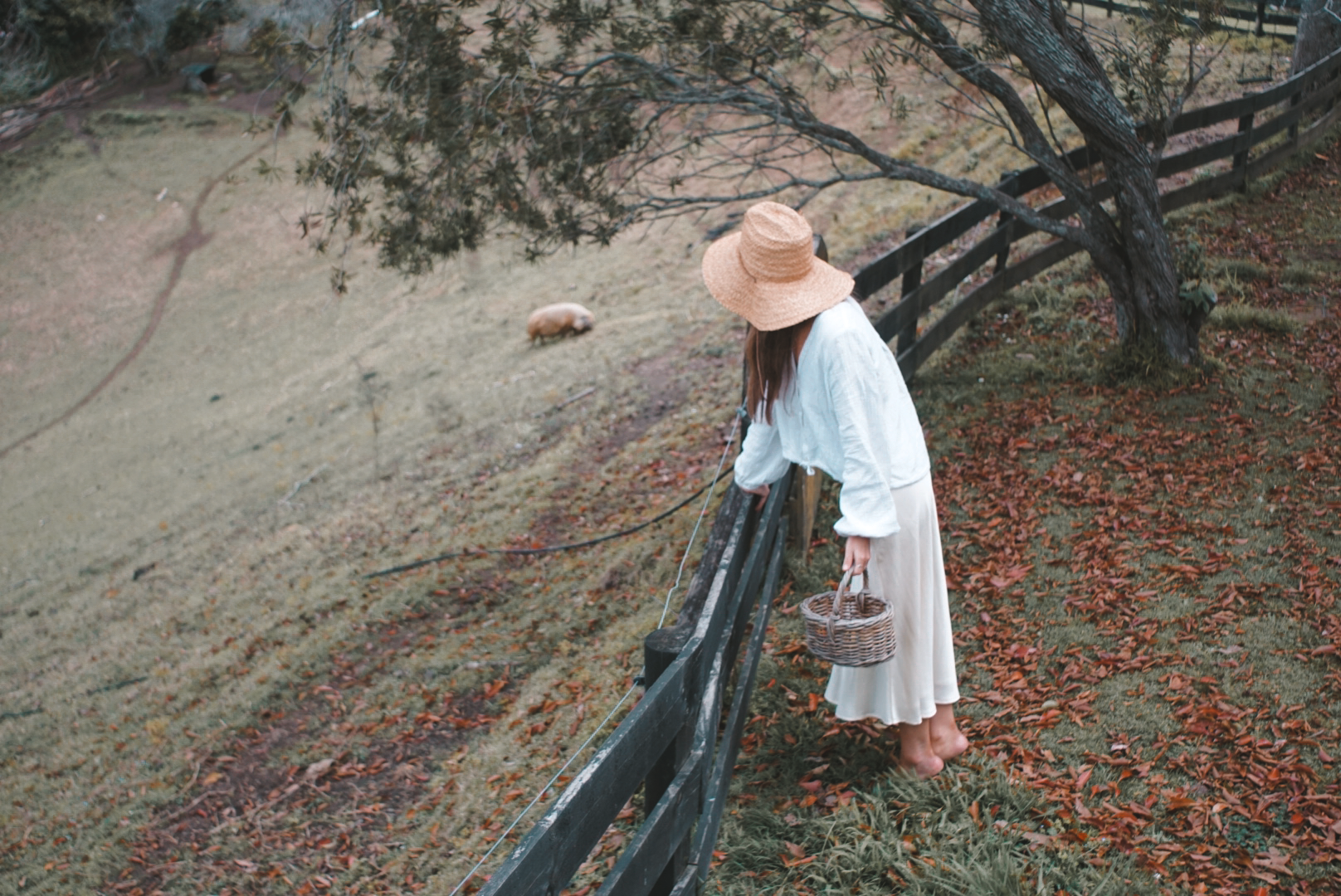 Woman in a white dress and wide-brimmed straw hat carrying a wicker basket, leaning on a wooden fence, looking at a pig on a grassy, leaf-covered farm field during autumn.