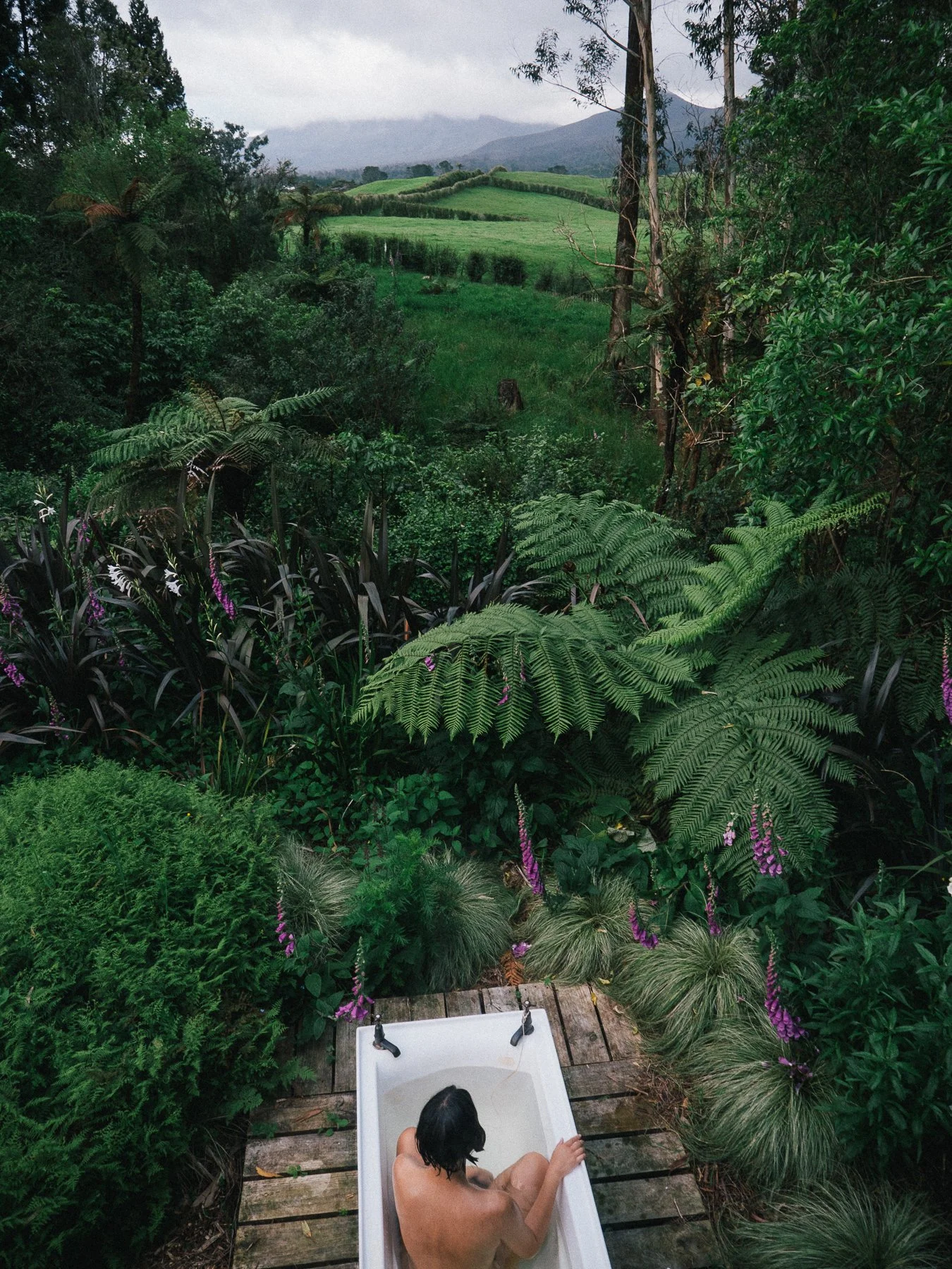 thomas_smith_nest_journal-170.jpg