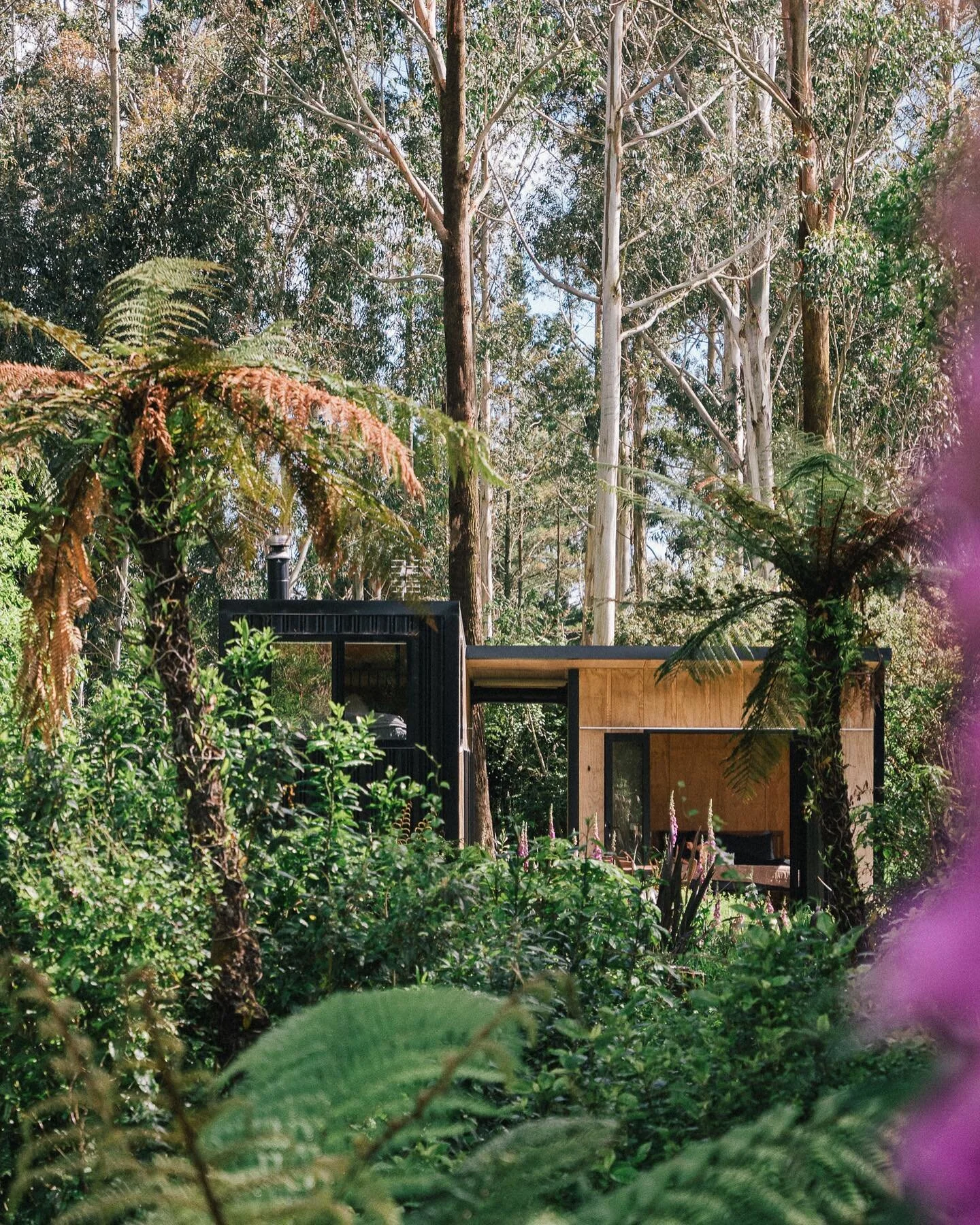 Come with us as we take you on an intimate journey inside the stunning off grid @ecoescape ~ a hideaway unlike any other, with one of the most undisturbed and unreal views of Mount Taranaki we&rsquo;ve ever seen 🤍

Inspired by its surroundings, Ecoe