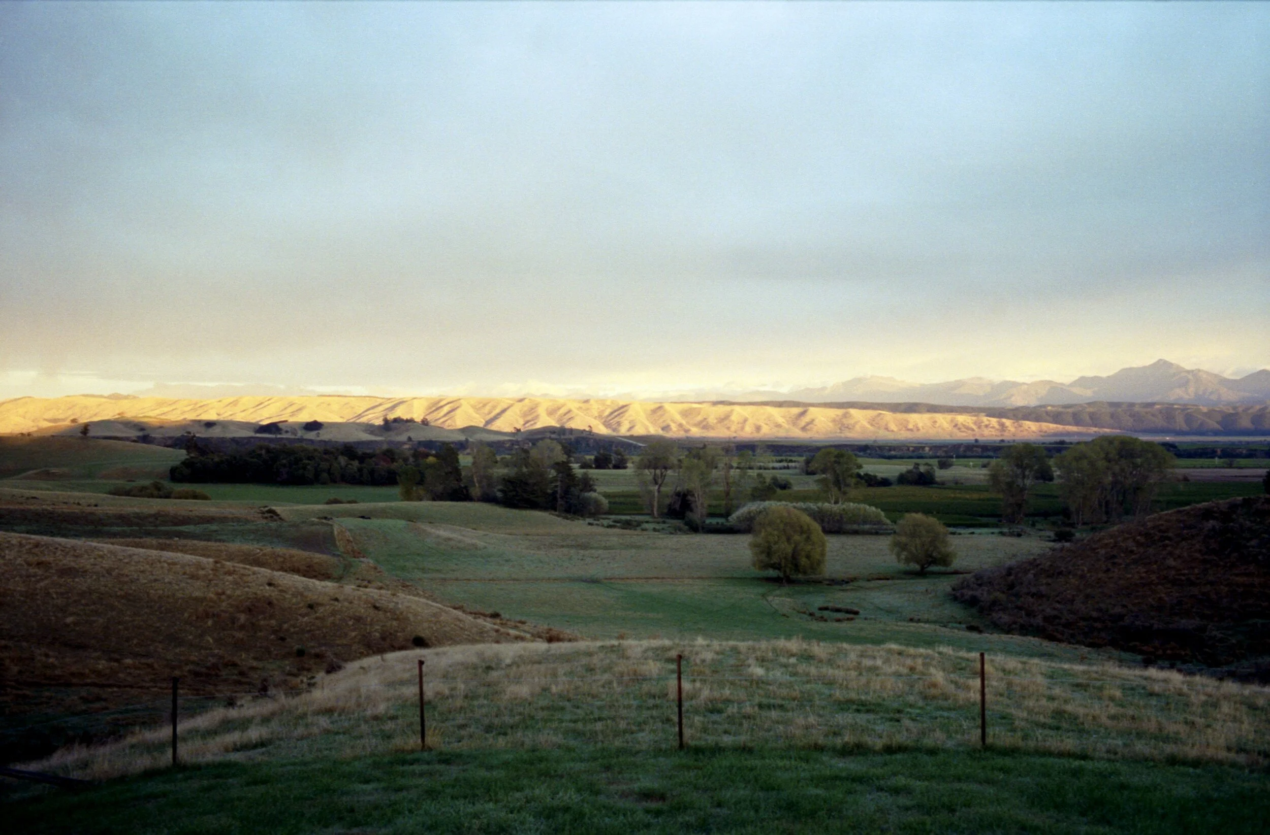 Image 1 10.jpg