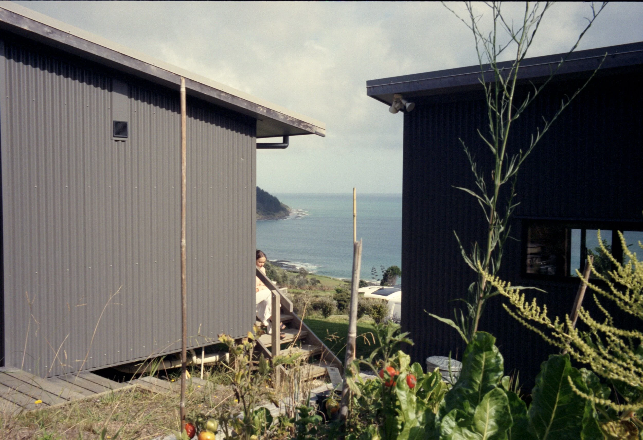 Image 1 42.jpg