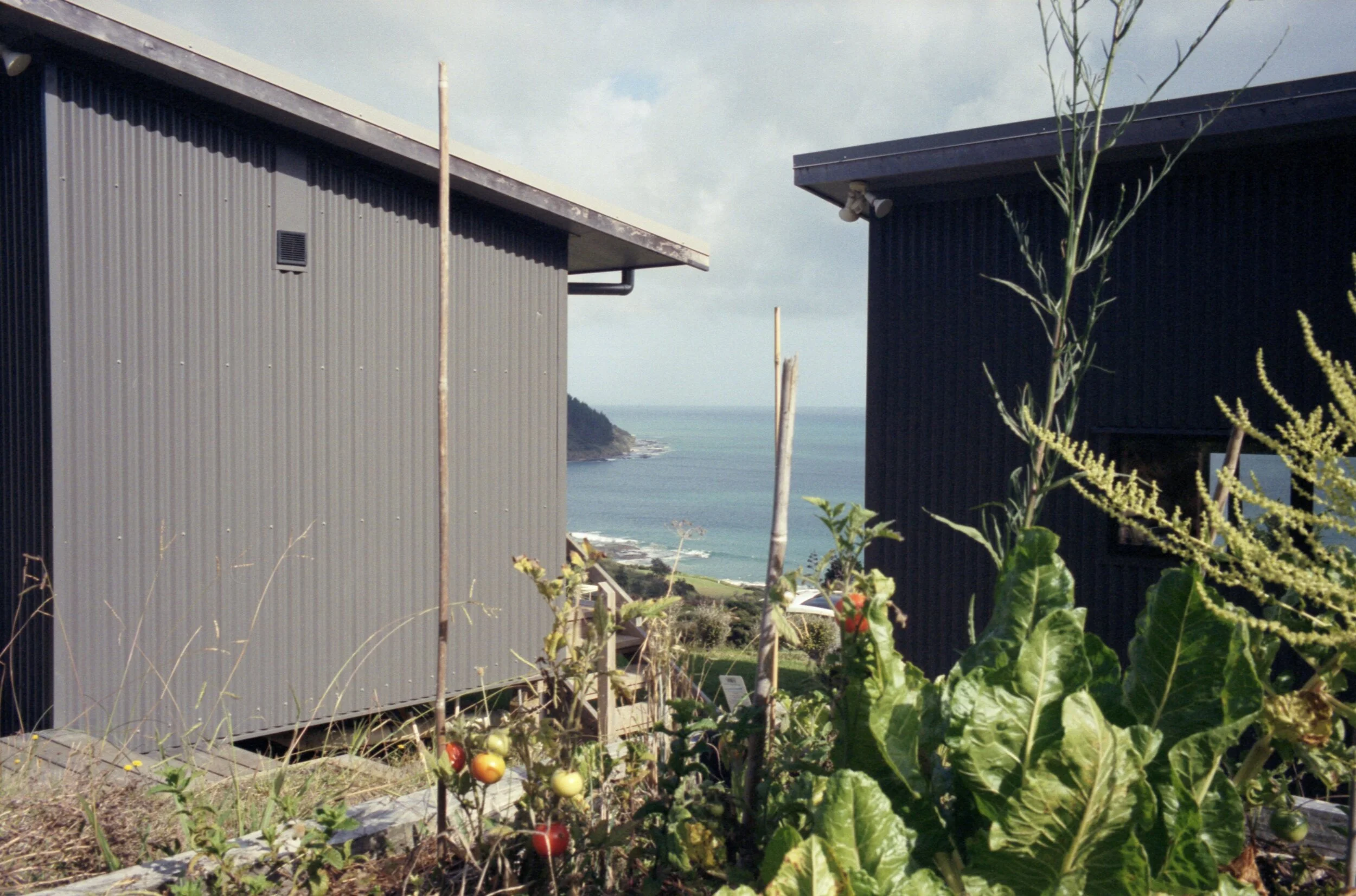 Image 1 44.jpg