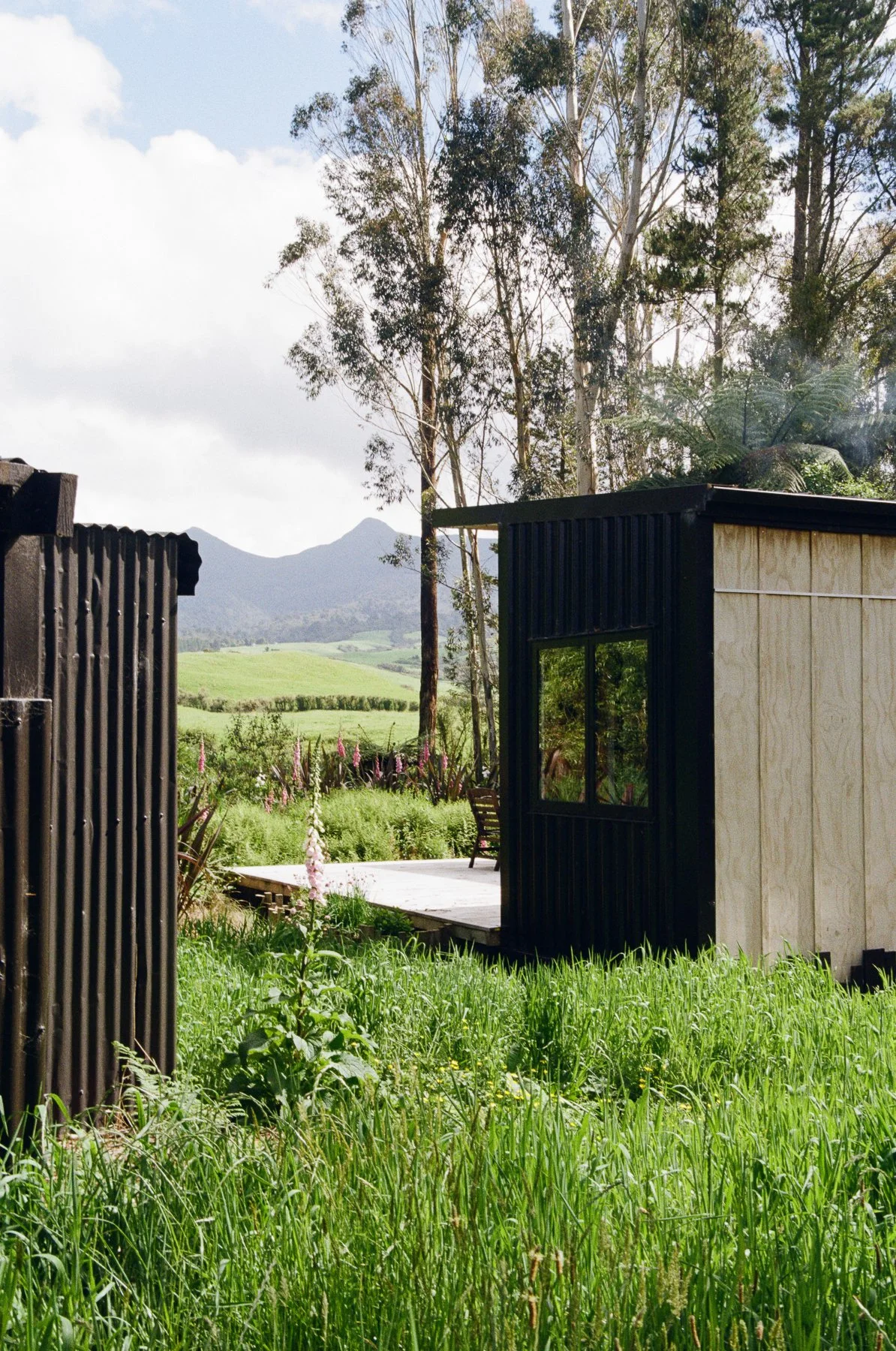 thomas_smith_nest_journal_film01-13.jpg