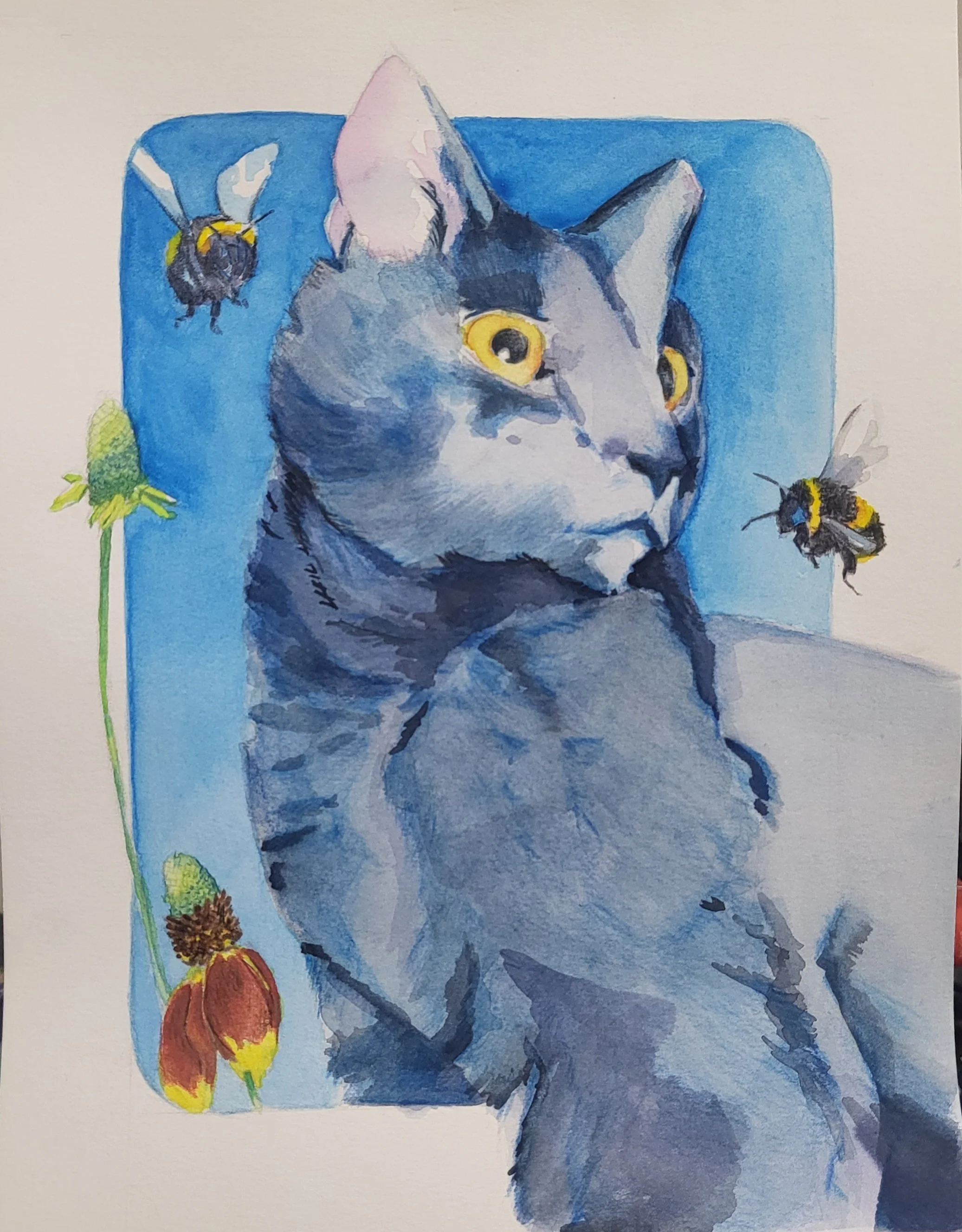 9X12 "Bruce" Study Watercolor and Colored Pencils 2024