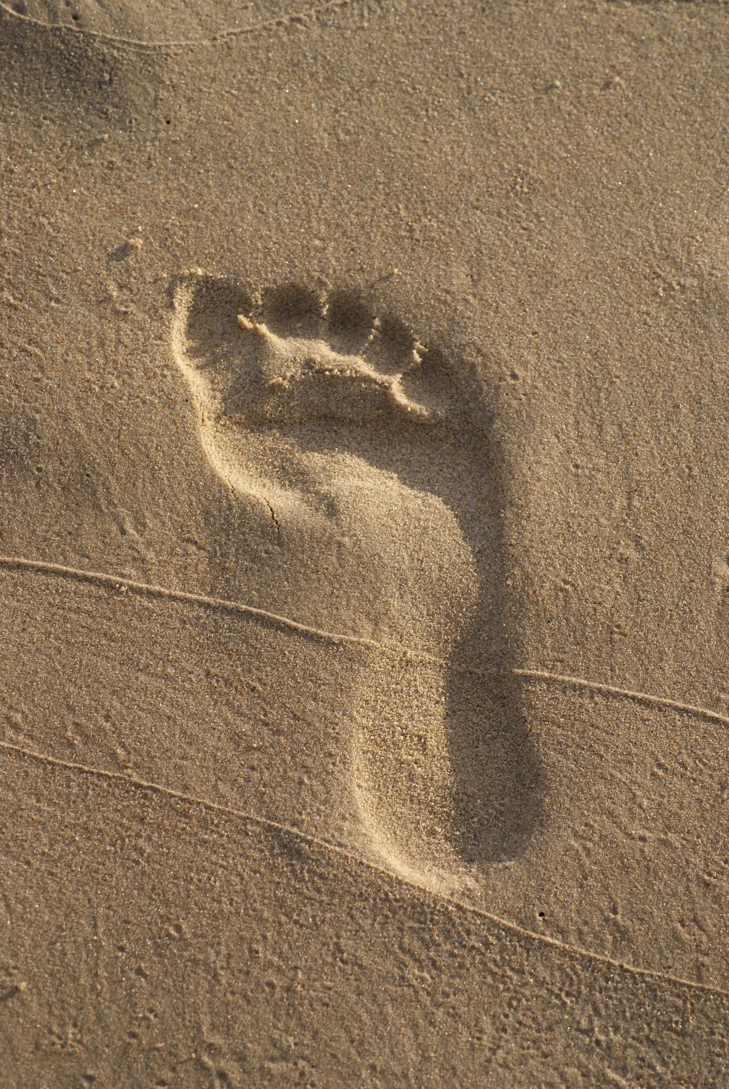 Footprint on Nine Mile Beach