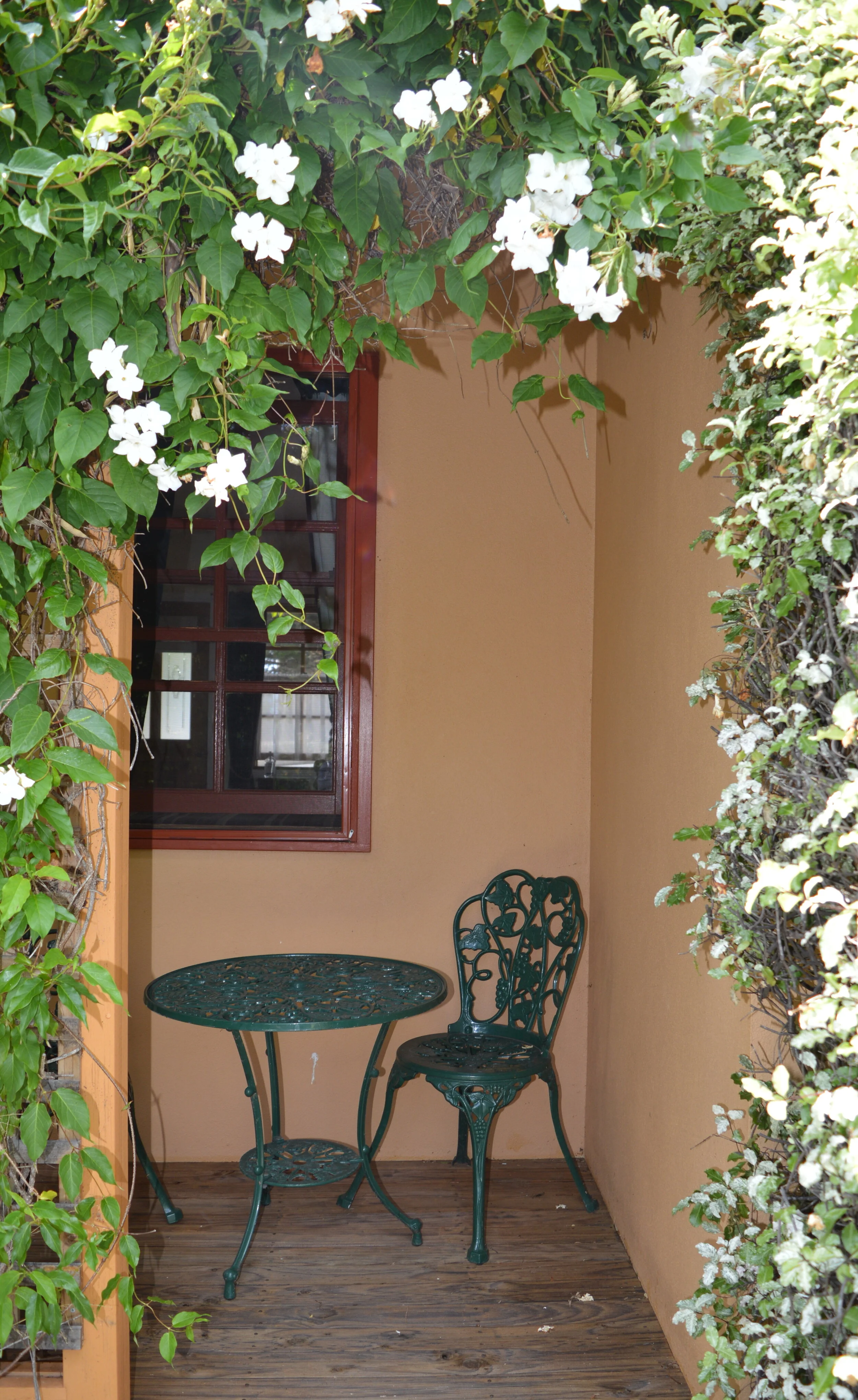 studio mews veranda.JPG