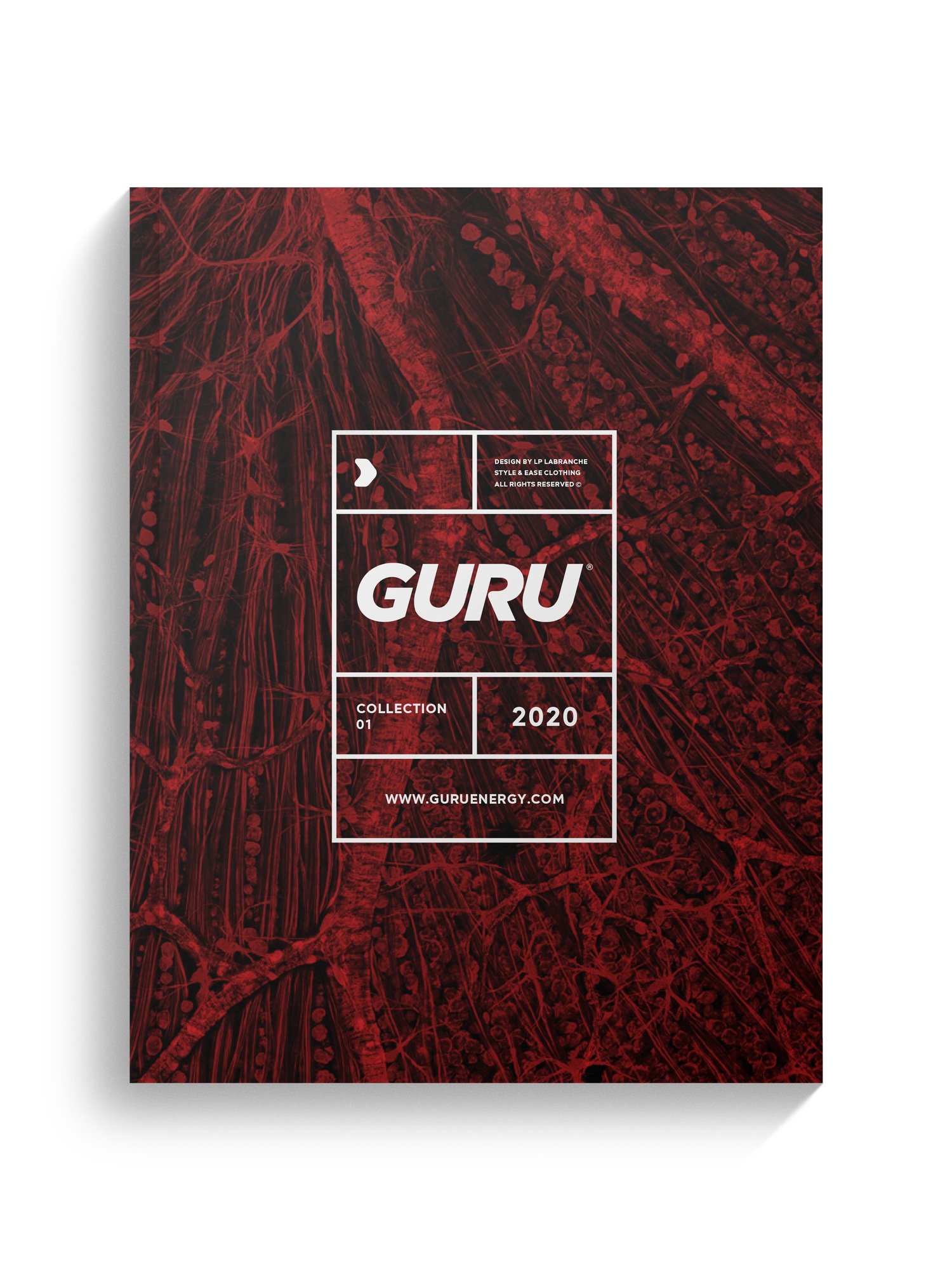 guru+cover.jpg