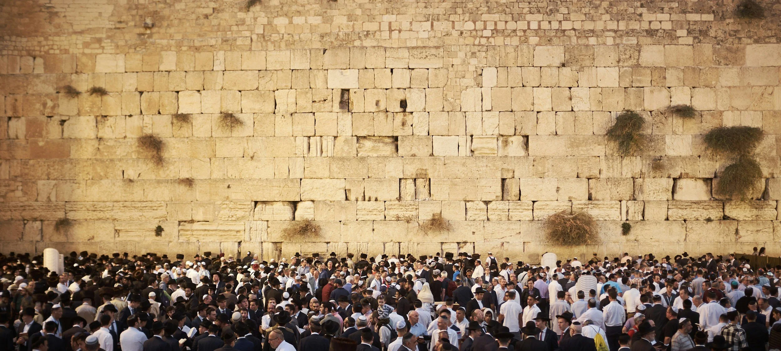 Unseen From The Beginning of Time, And Never to Be Seen Again (Matthew 24:21)