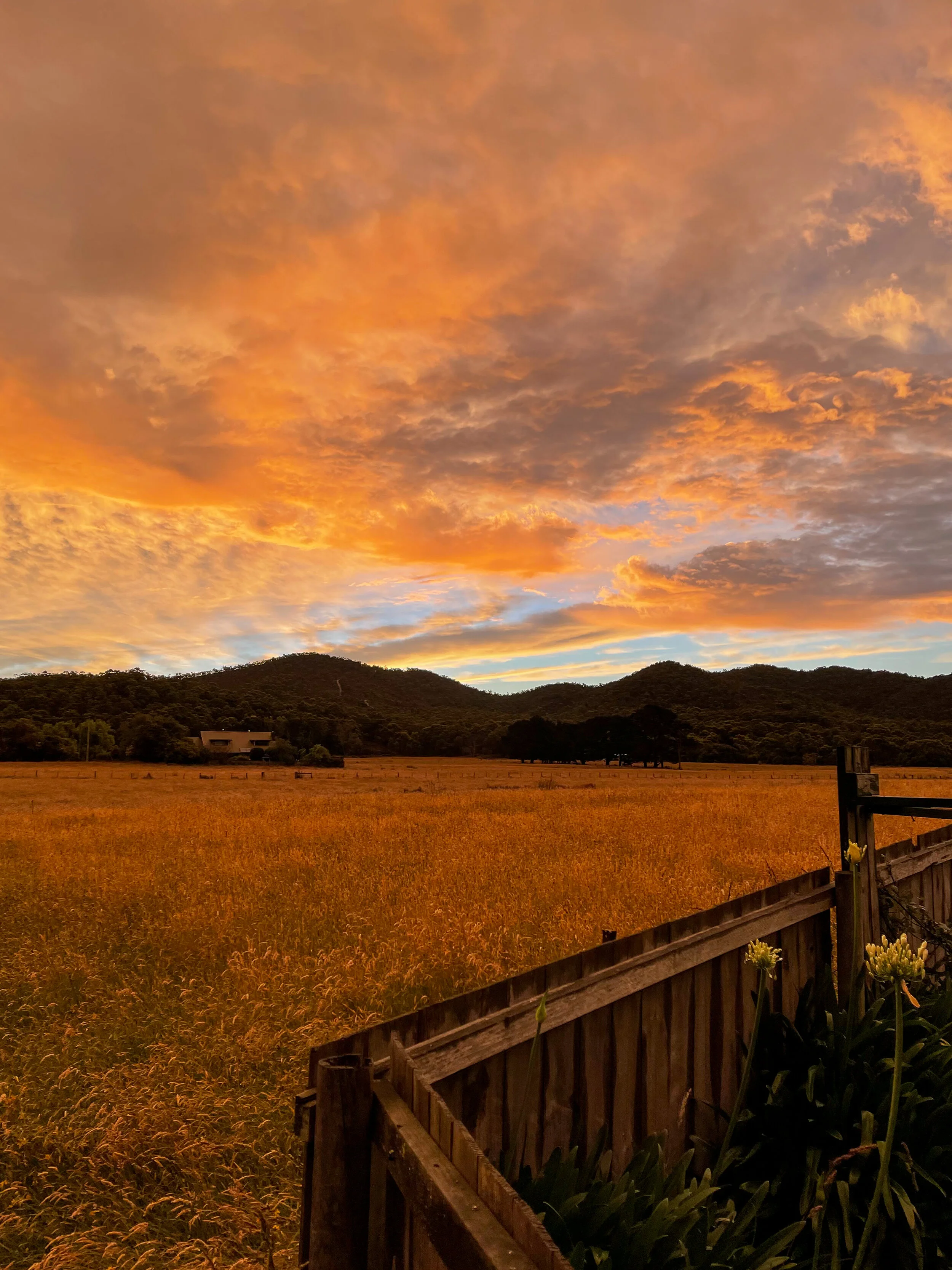 Mid summer sunset over the back fence - Melissa Deniam