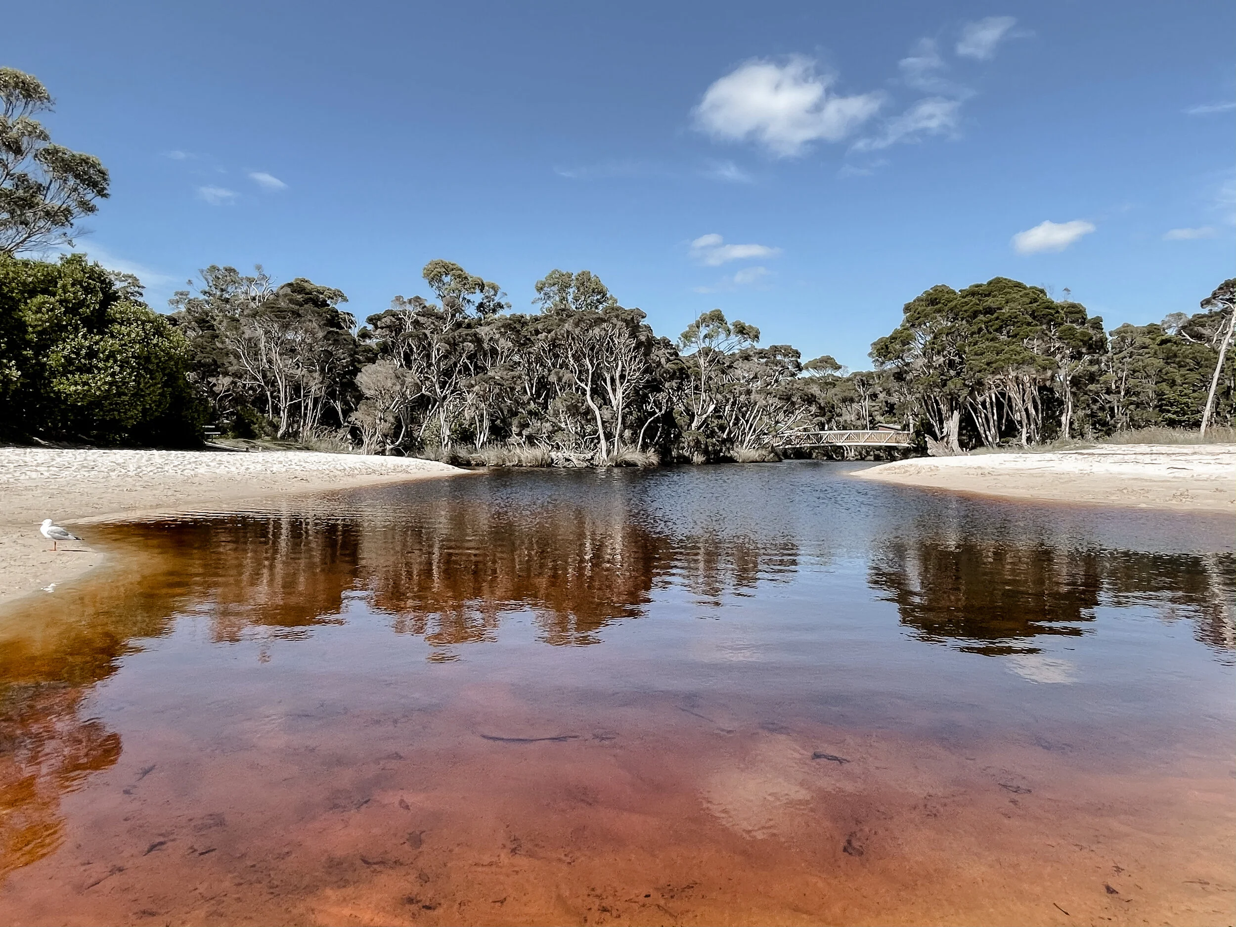 Sisters Creek - Melissa Duniam