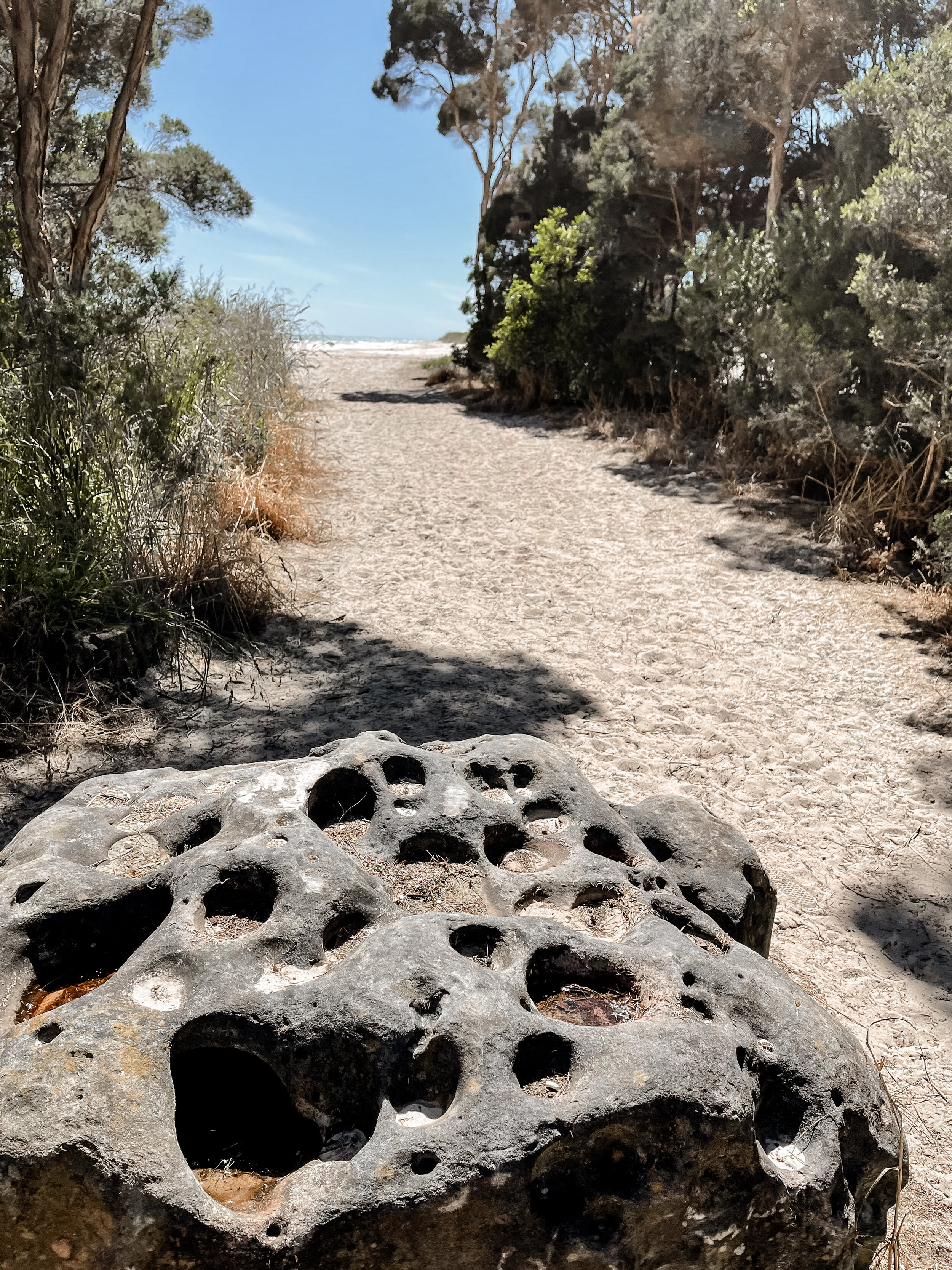 Beach access track