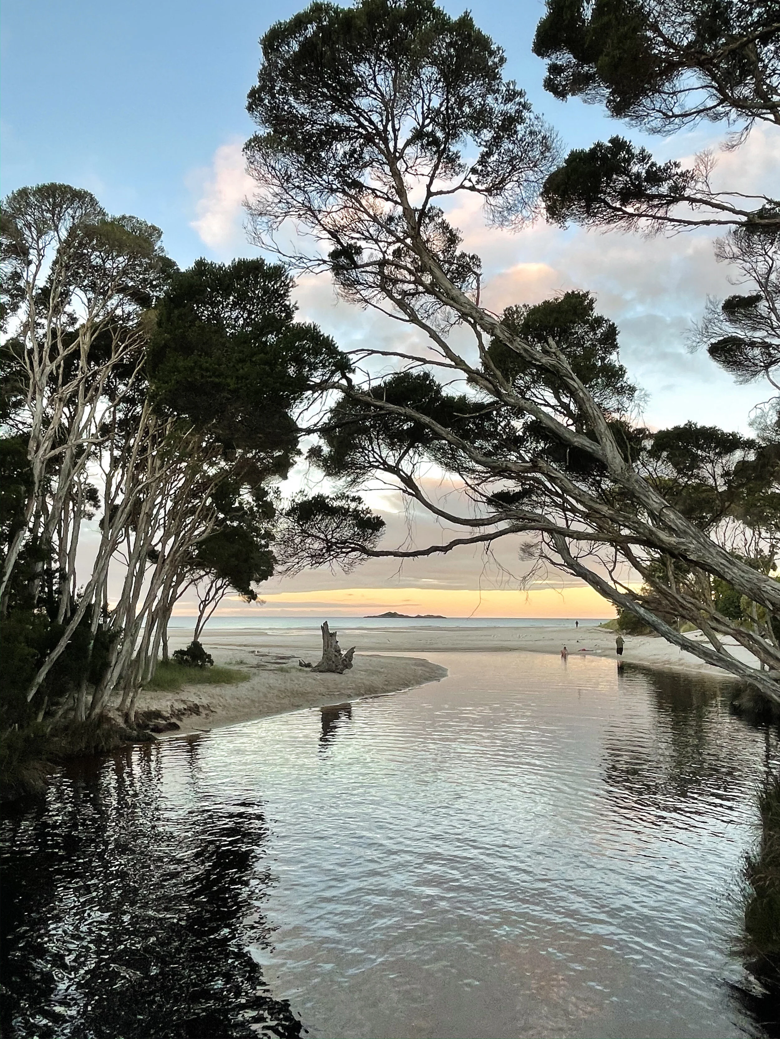 Sisters Creek mouth - Sass Glaesner