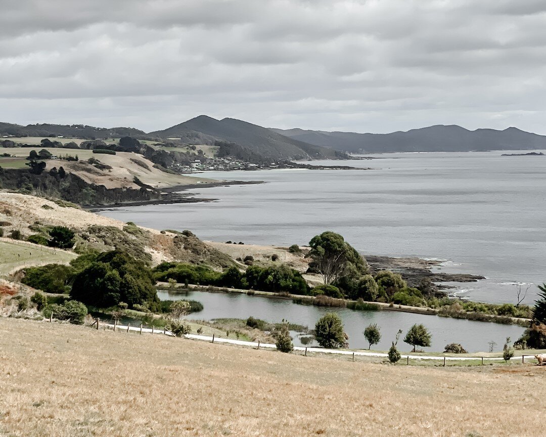 Boat Harbour Beach township in the centre, Sisters Beach national park wrapping around in the background . ⠀⠀⠀⠀⠀⠀⠀⠀⠀
⠀⠀⠀⠀⠀⠀⠀⠀⠀
Taking beautiful snapshots of this place comes easy with views as shiny as this one