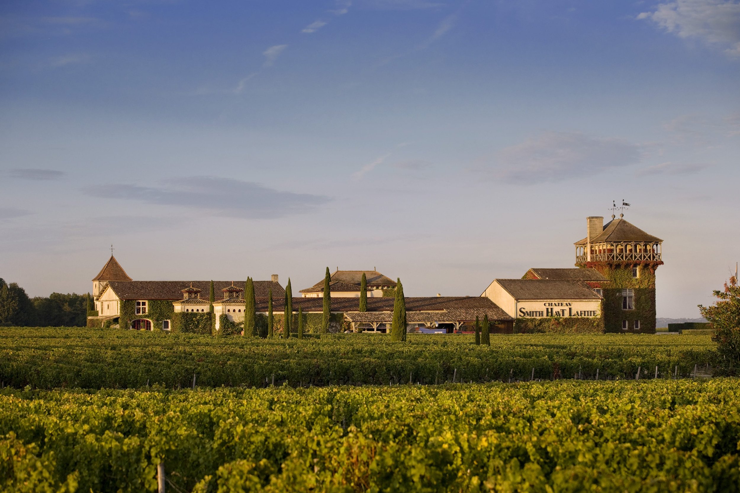 Chateau Smith Haut Lafitte - DTSC