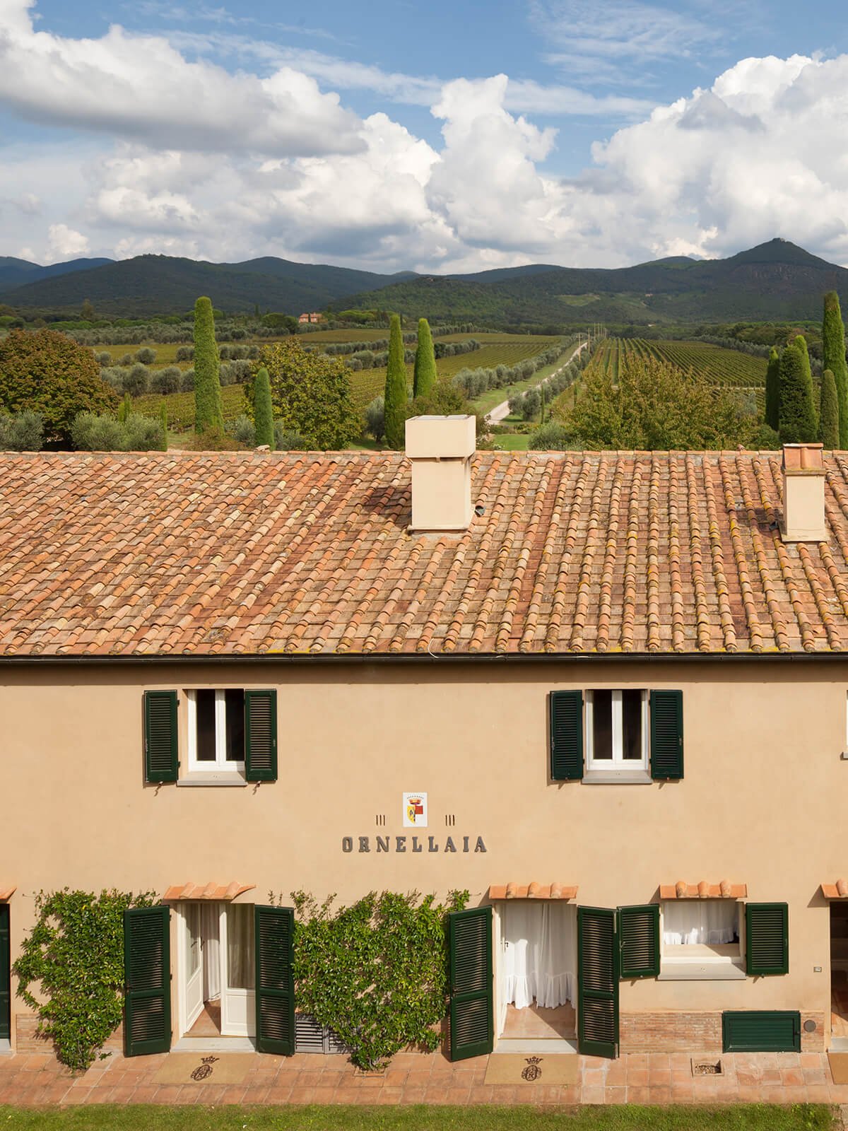 DTSC Ornellaia