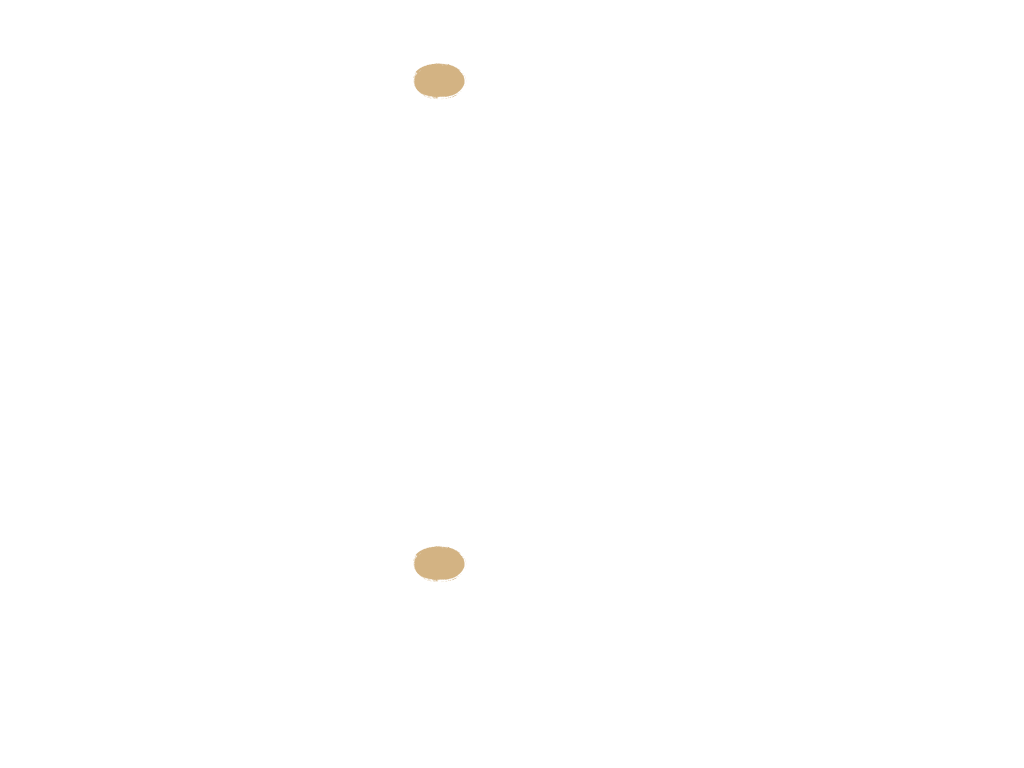 Rehberg-Coaching