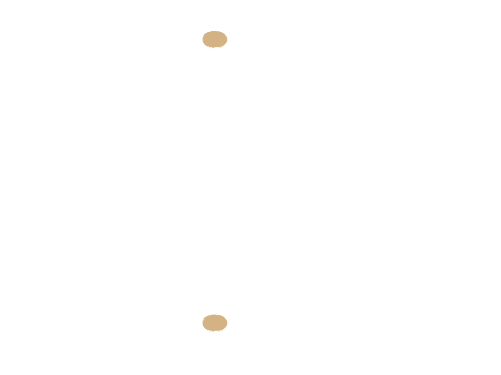 Rehberg-Coaching