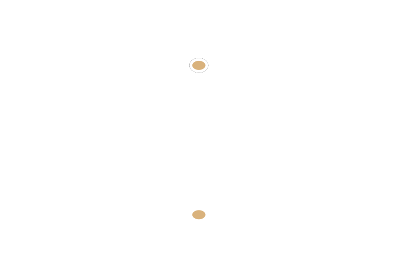 Rehberg-Coaching