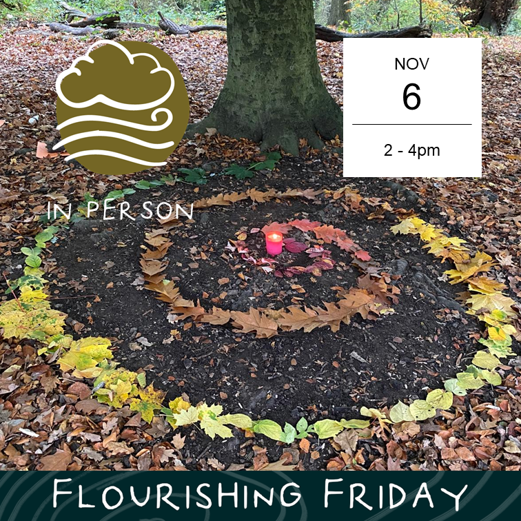 November Hampstead Heath Gathering
