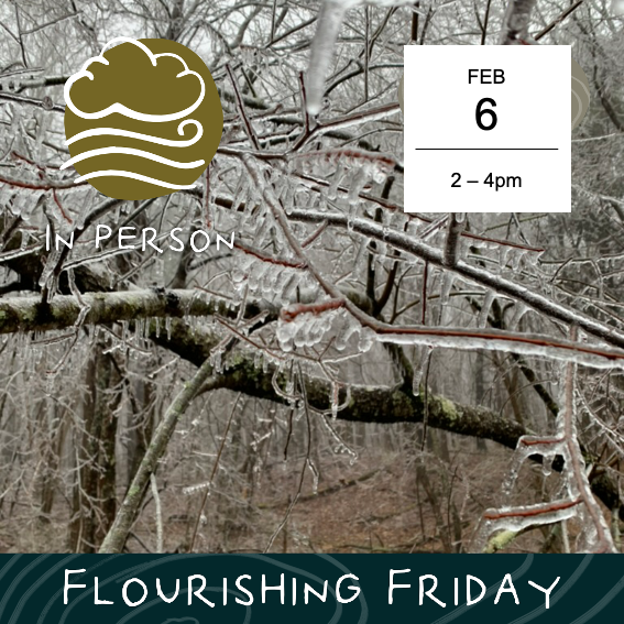 FF Feb 6.png