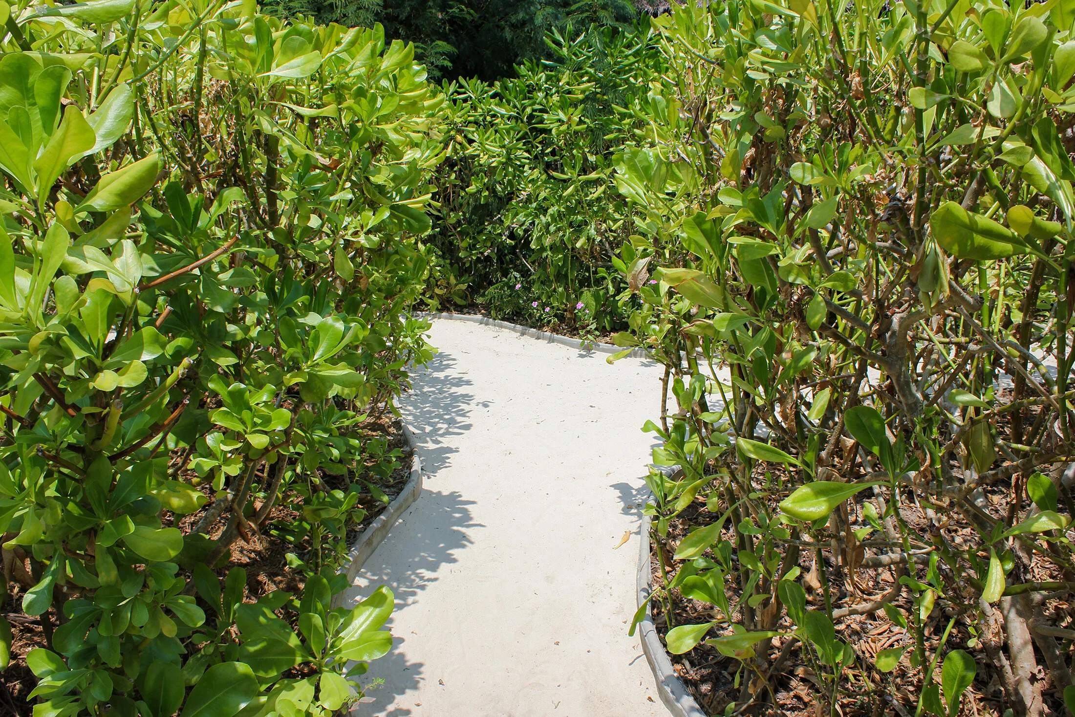 voyagone_zeavola-resort-phi-phi-island-path.jpg