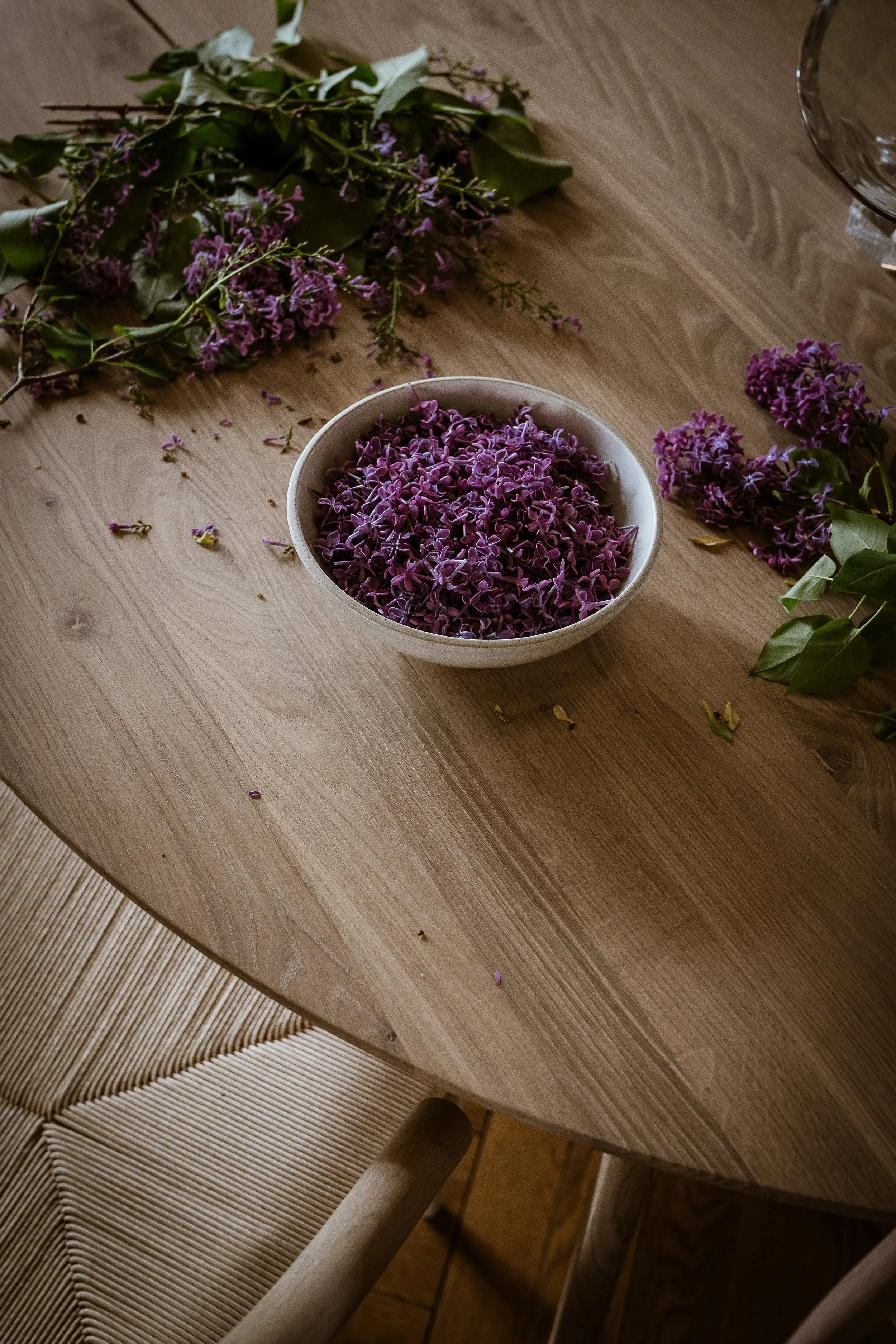 Voyagone_Ygg&Lyng-Viken---093.jpg