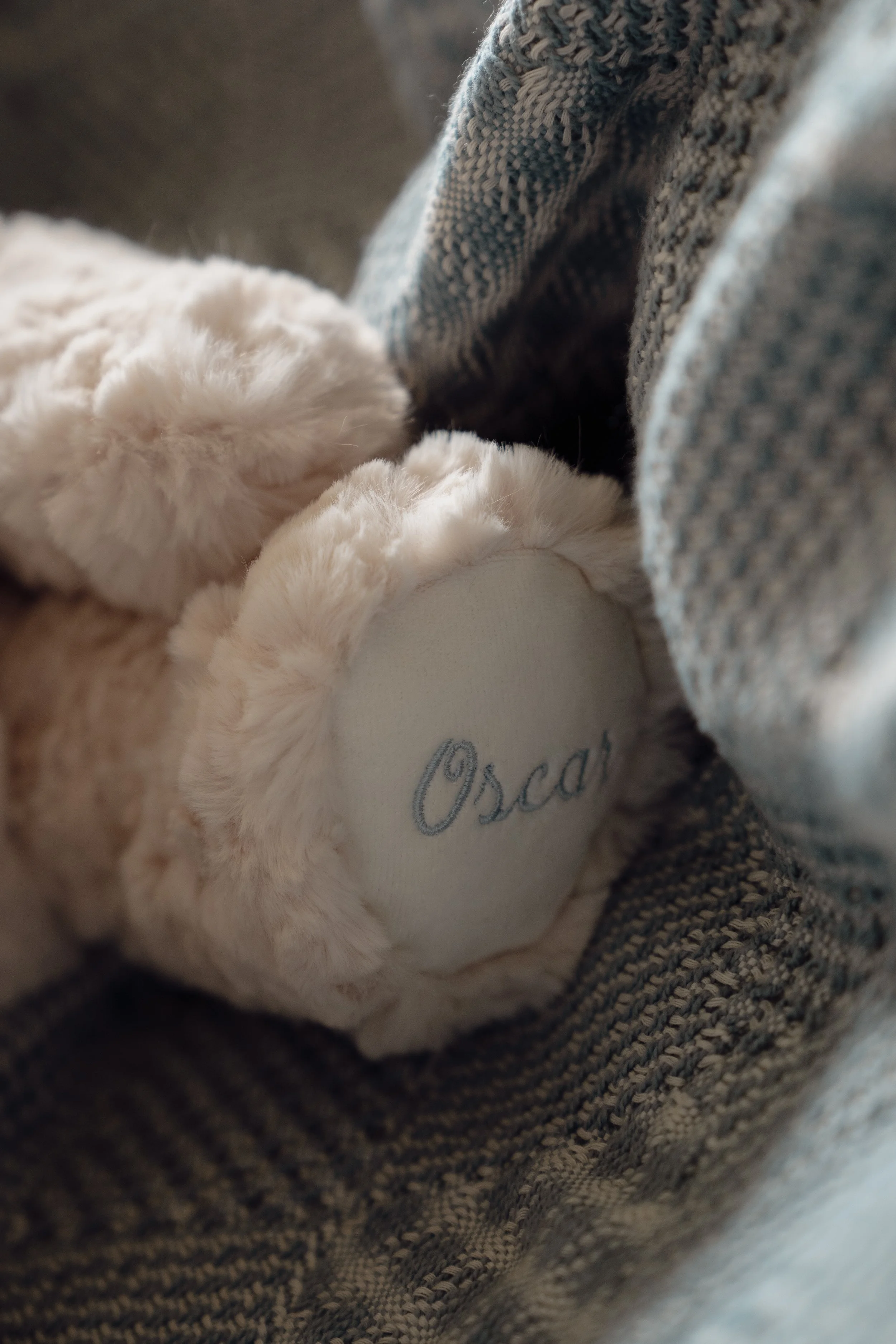 Voyagone_Pamplemousse-Peluches---55.jpg