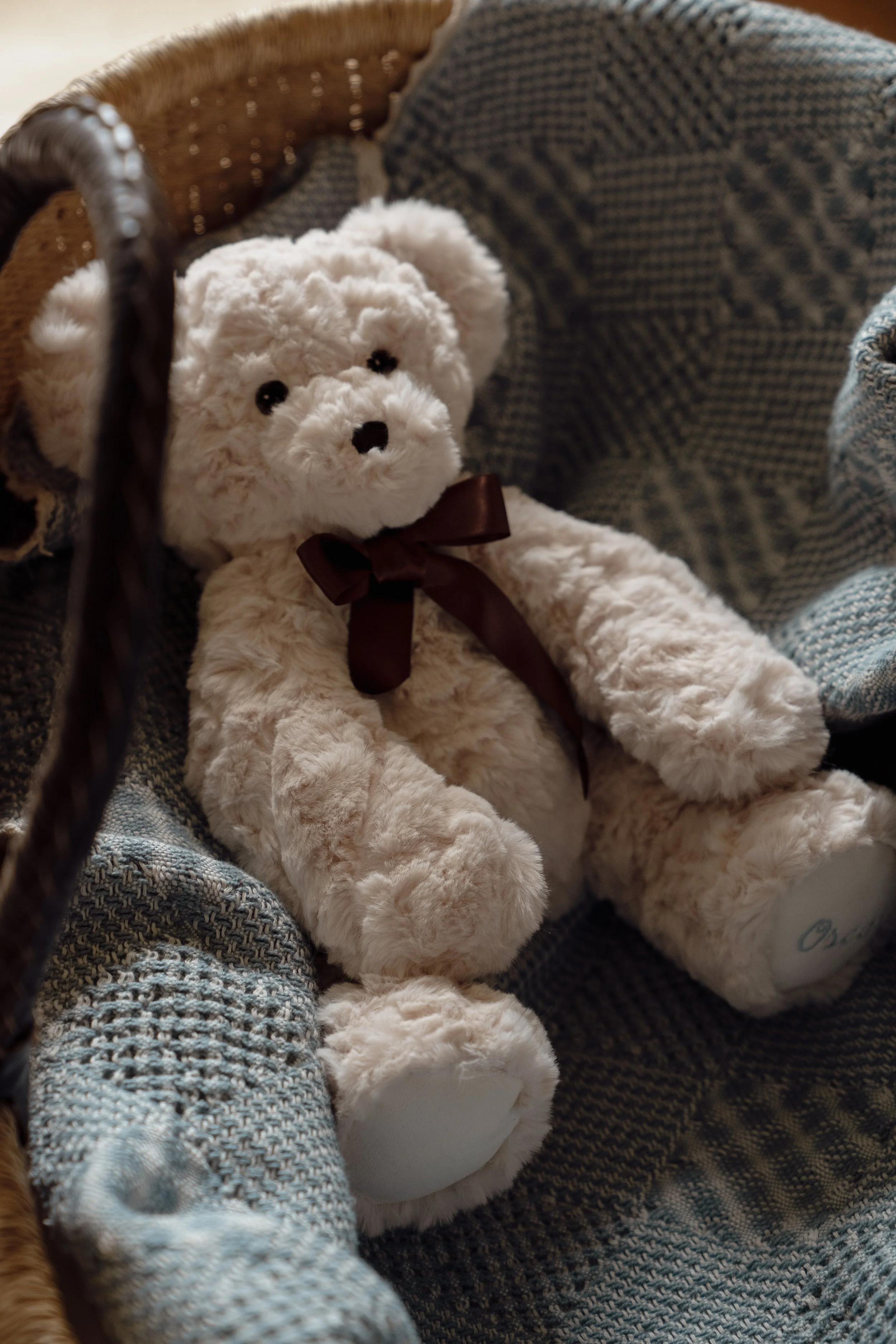 Voyagone_Pamplemousse-Peluches---56.jpg