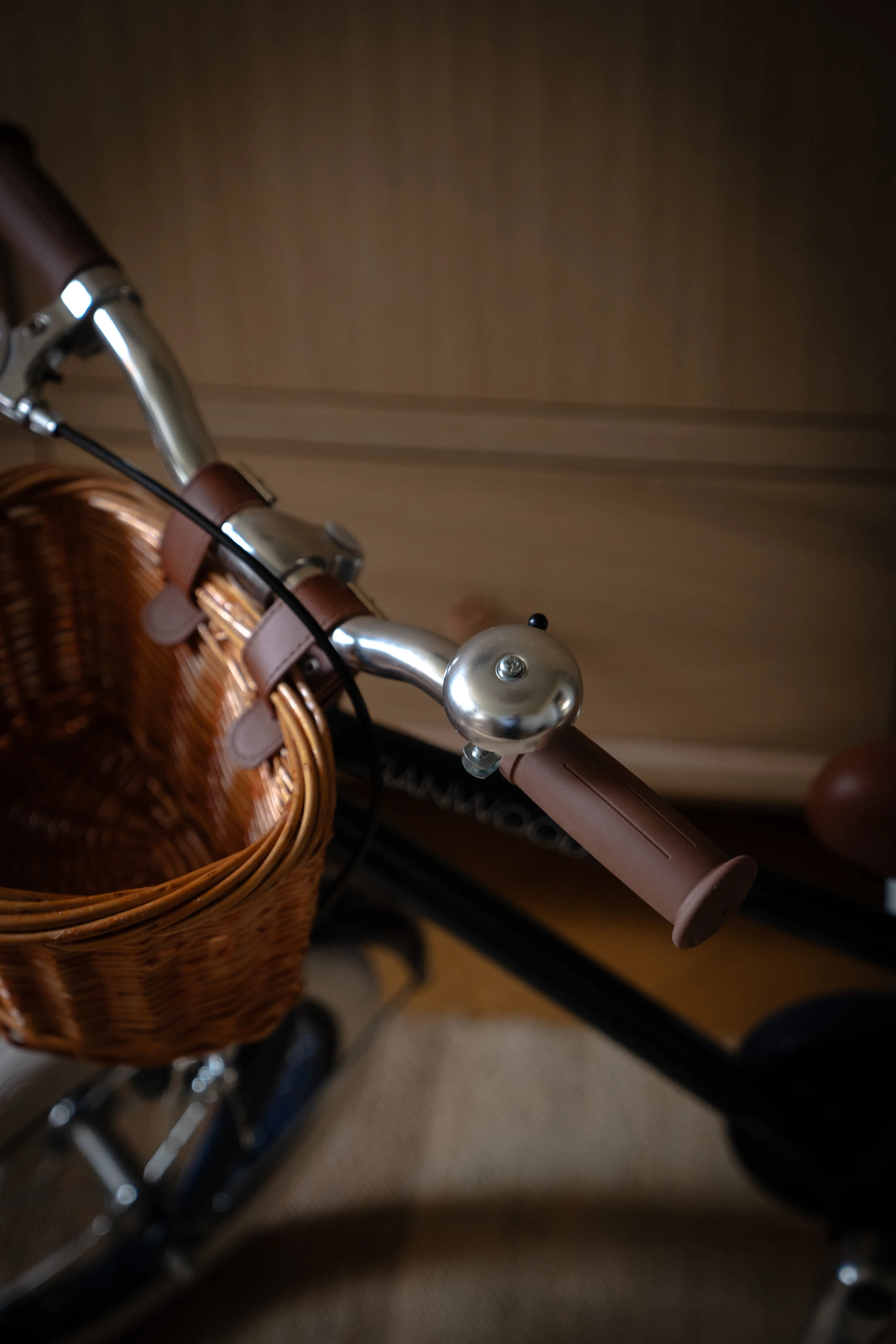 Voyagone_Banwood--17.jpg