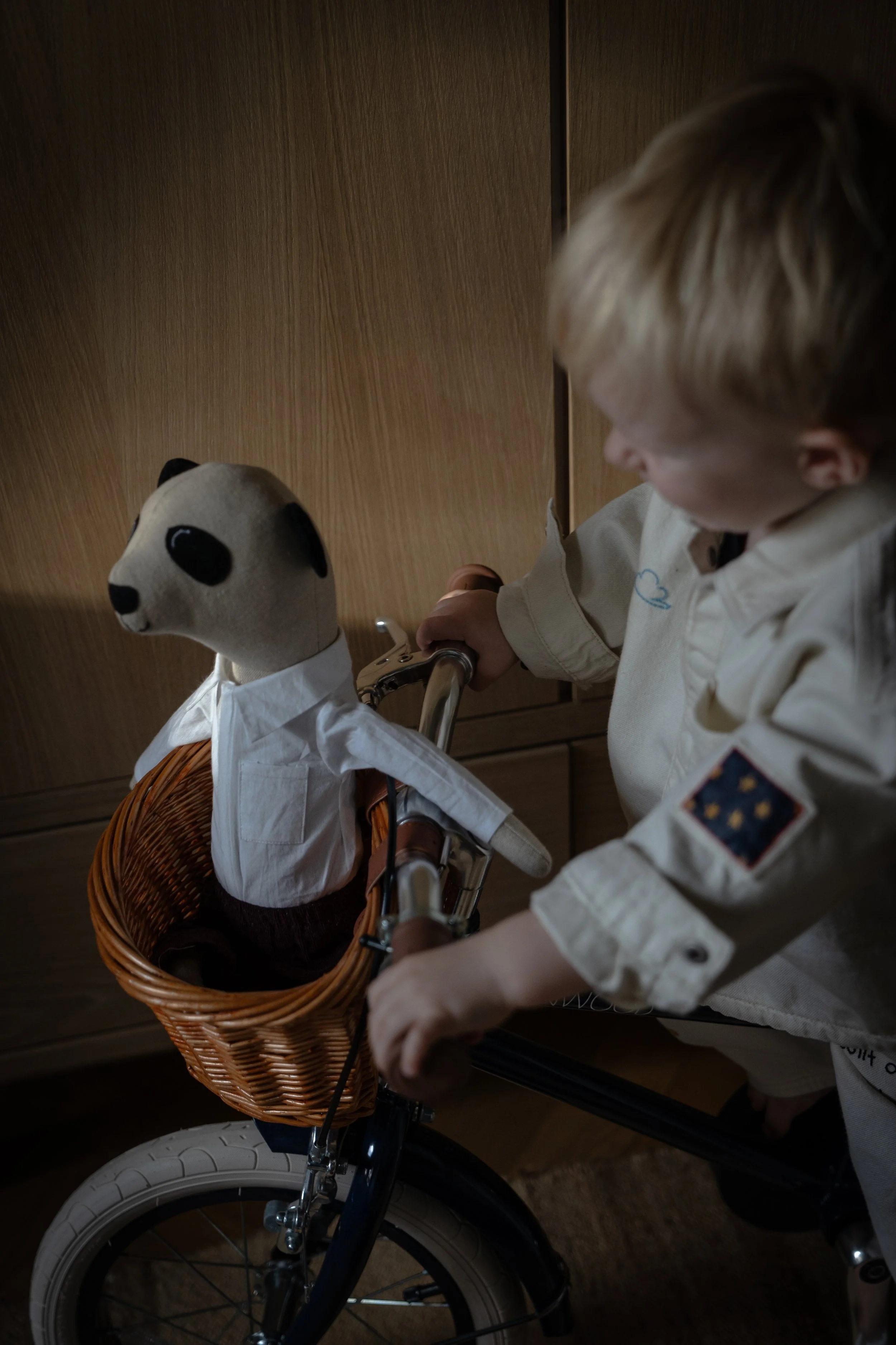 Voyagone_Banwood--62.jpg
