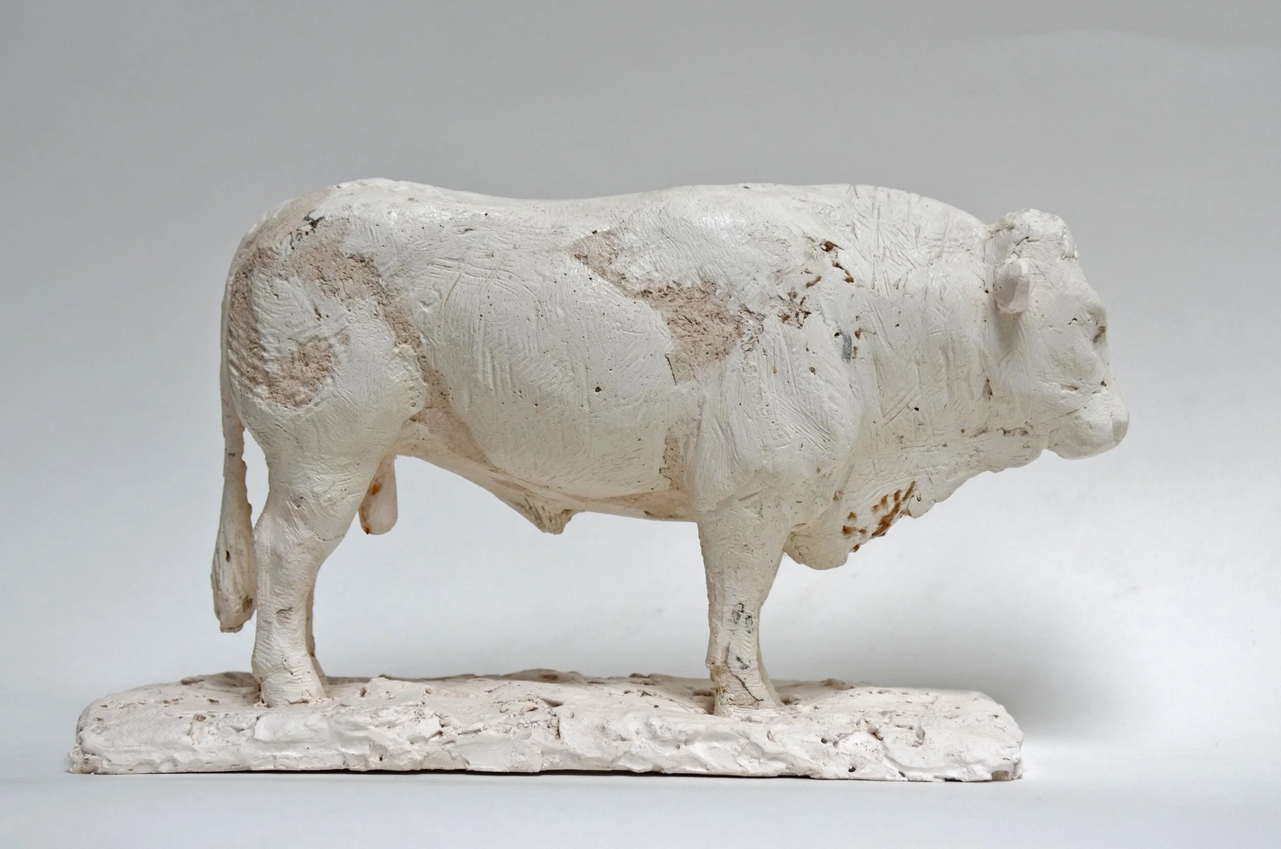 Bull - original plaster for bronze.