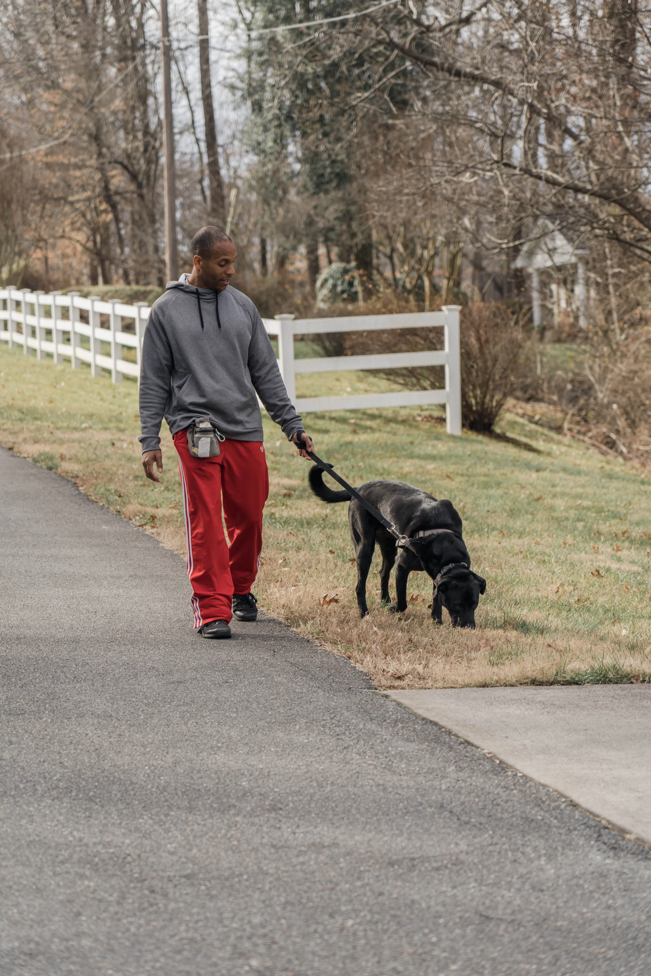 Team 1 — WinstonSalem Dog Care