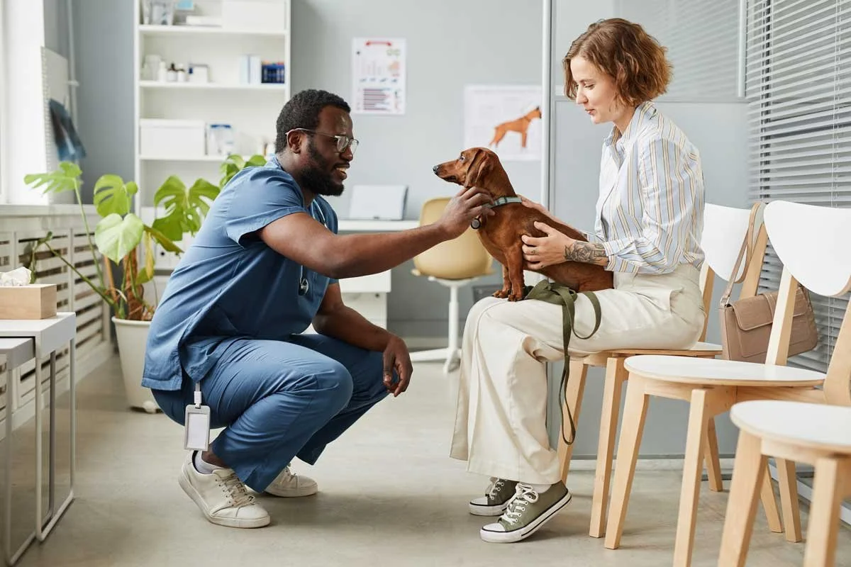New Veterinary Dermatology Services Now Available in Winston-Salem: What Pet Parents Need to Know
